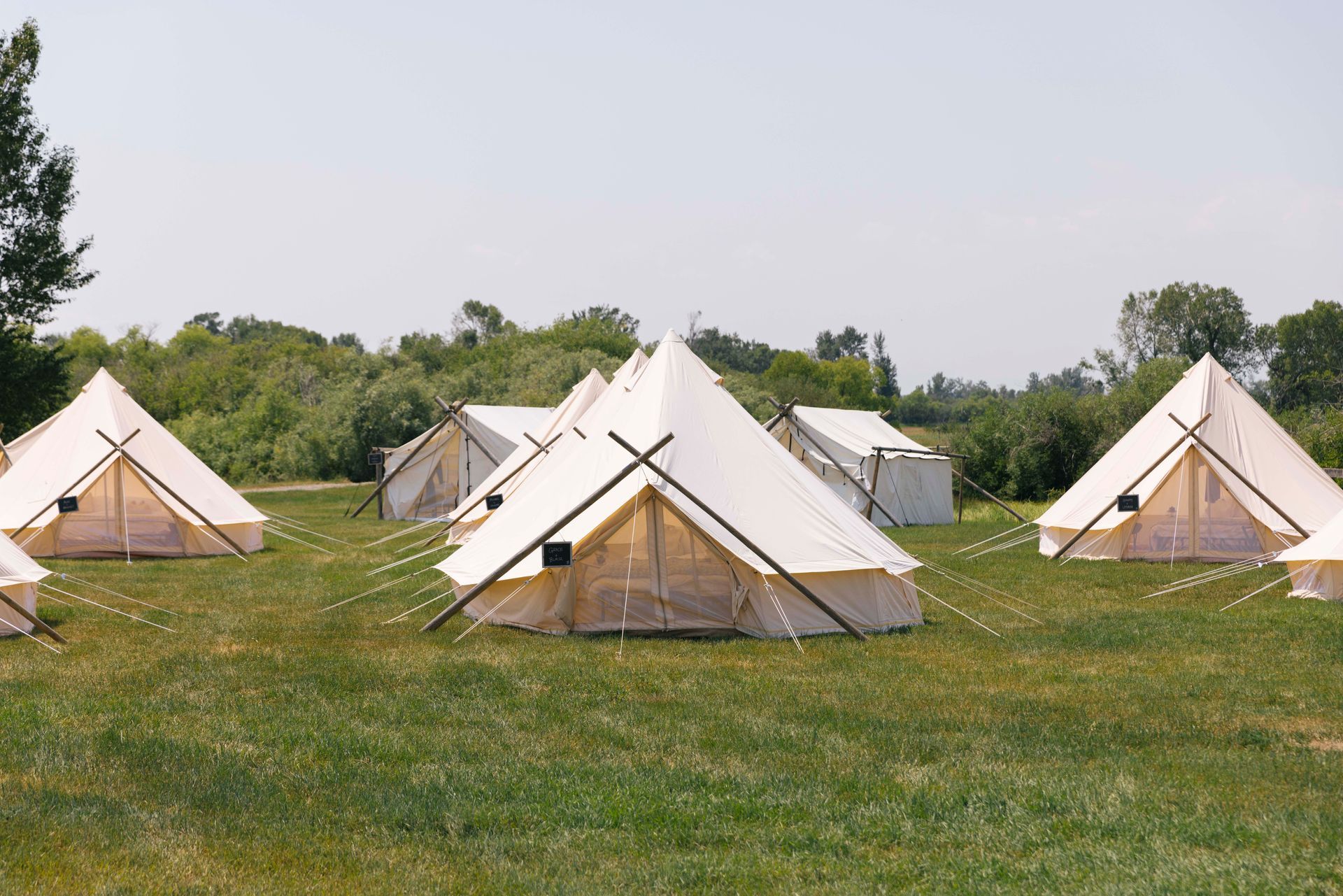 White canvas tents on a grassy field with trees in the background