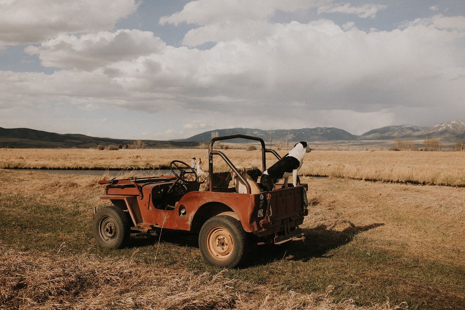 Red off-road jeep in a dry field with a dog looking over the back, under a cloudy sky.