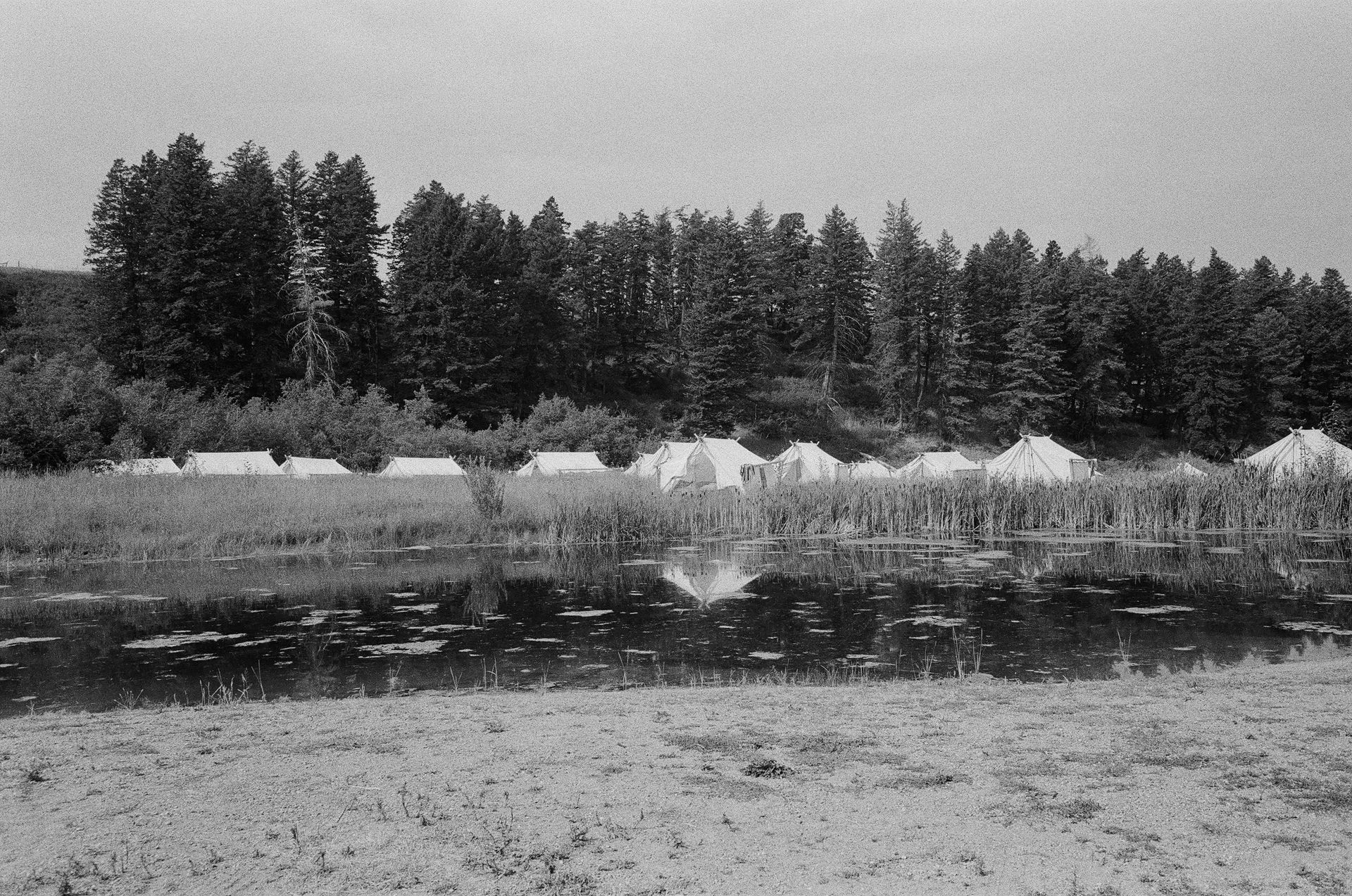 Black-and-white view of a lakeshore with tents along a forested treeline, reflected in calm water.