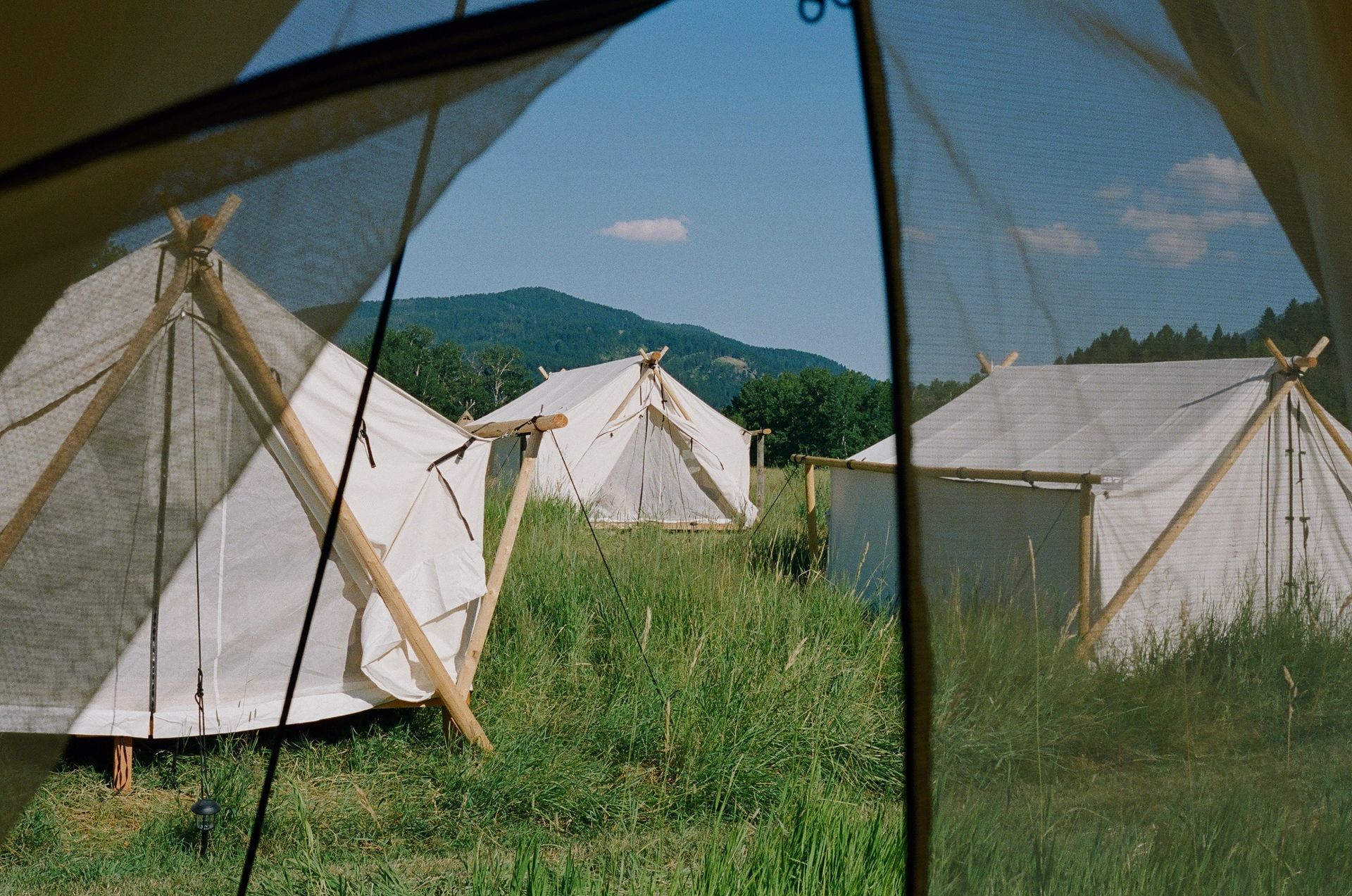 White bell tents in a grassy field under blue sky, viewed through a tent opening with mountains in the background
