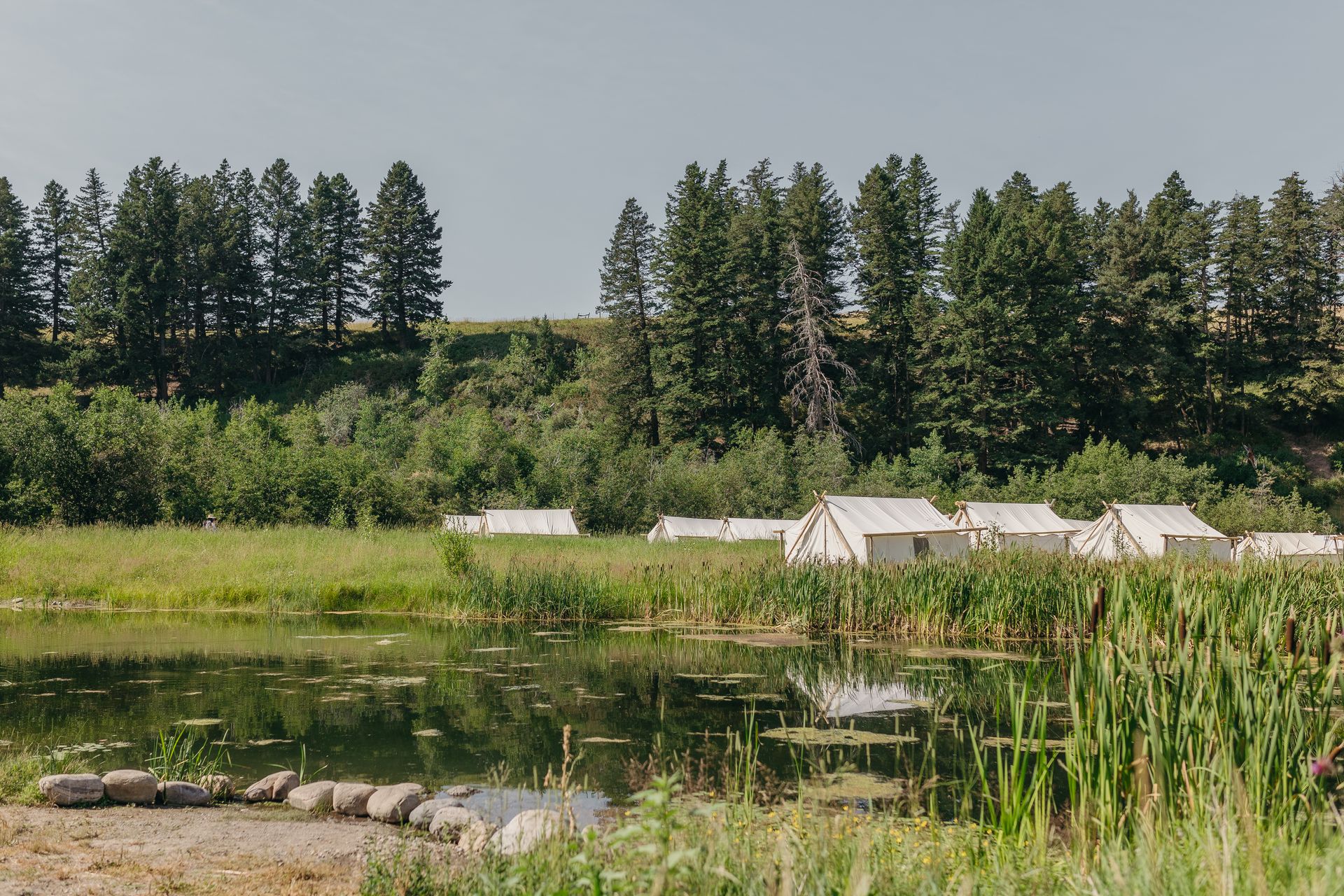 A pond beside tents and tall grasses, with evergreen trees and a calm hillside in the background