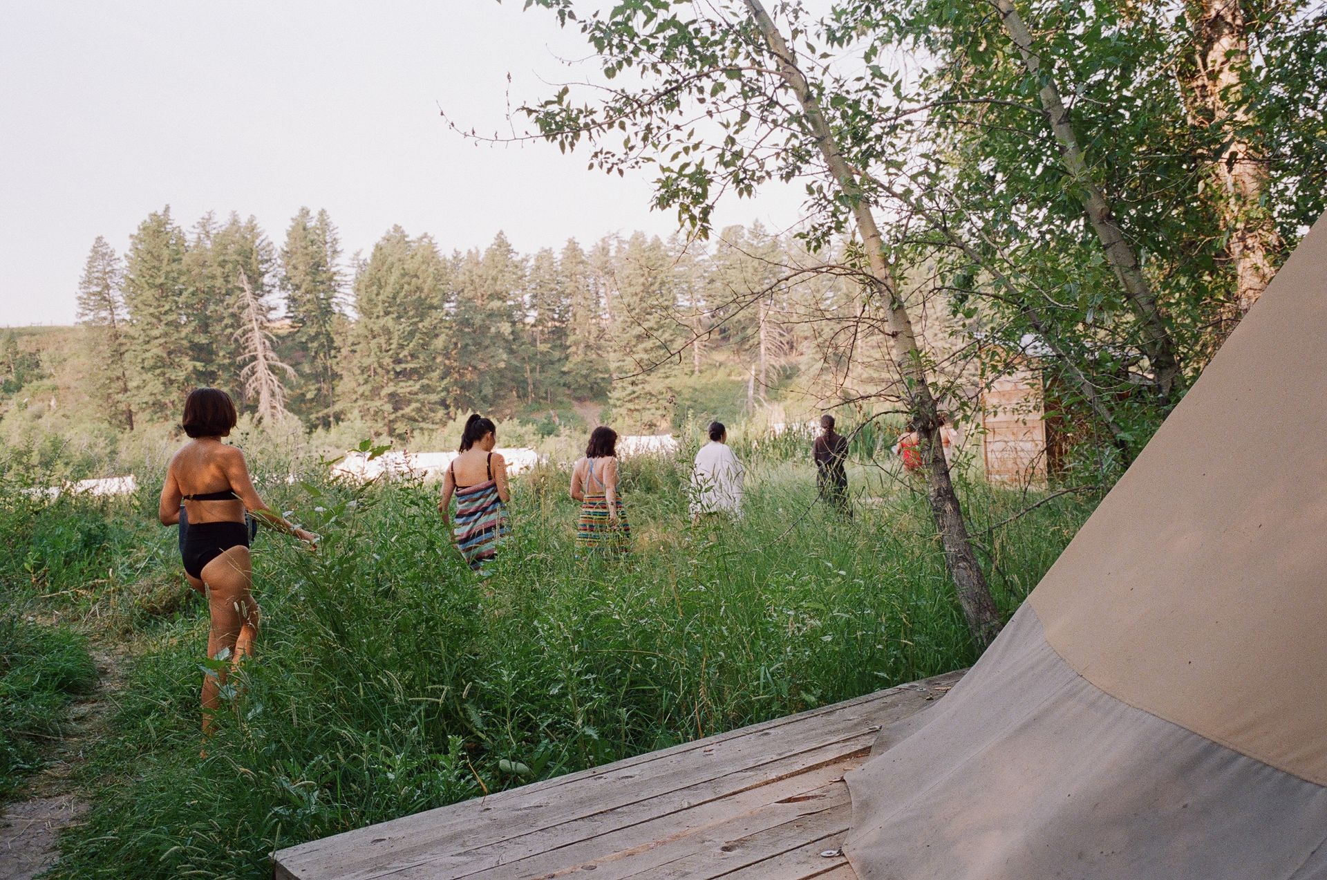 Group walking through tall grass near a beige tent under trees in a sunny campsite