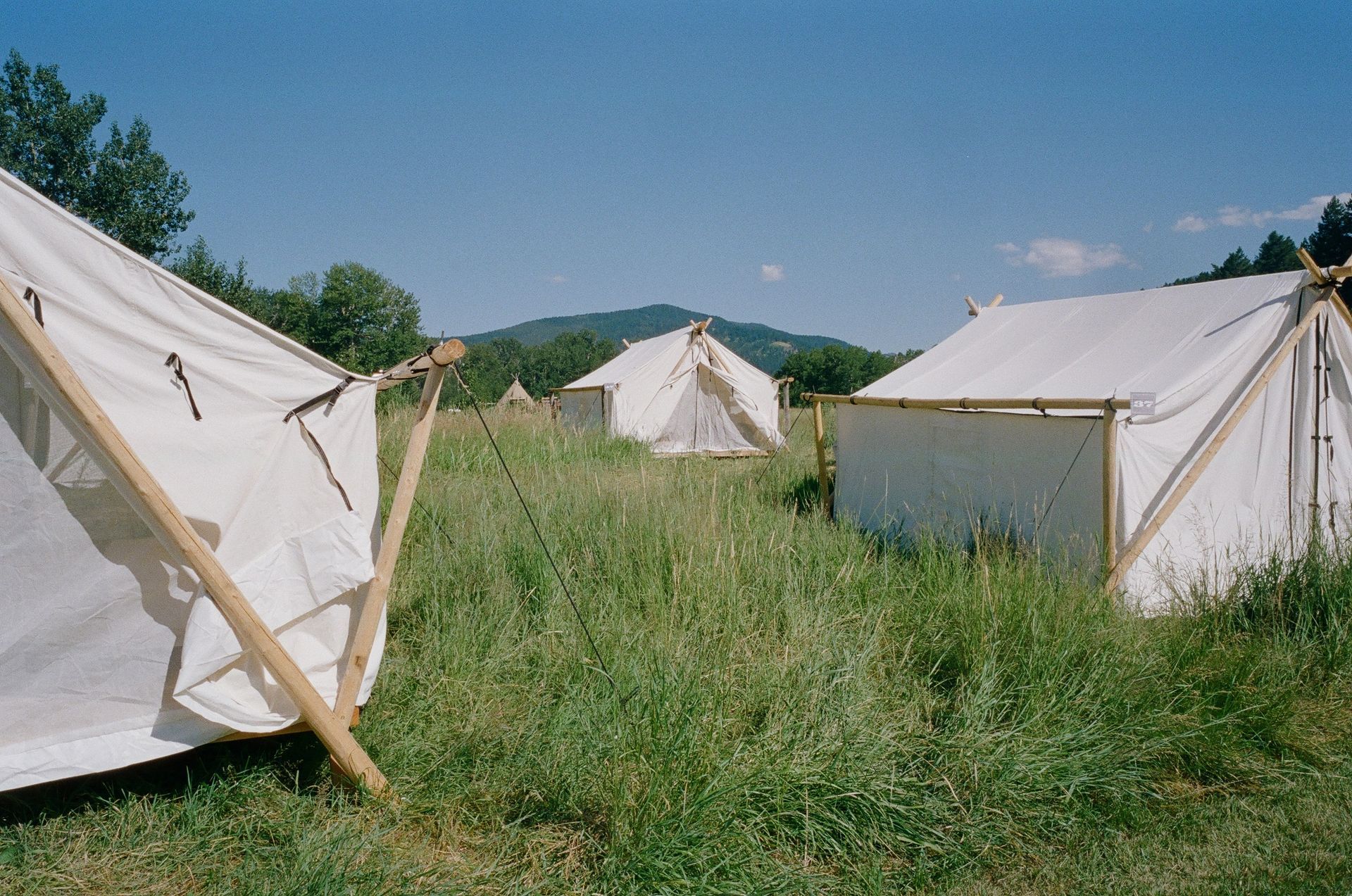 White canvas tents in a grassy field with mountains in the background under a clear sky