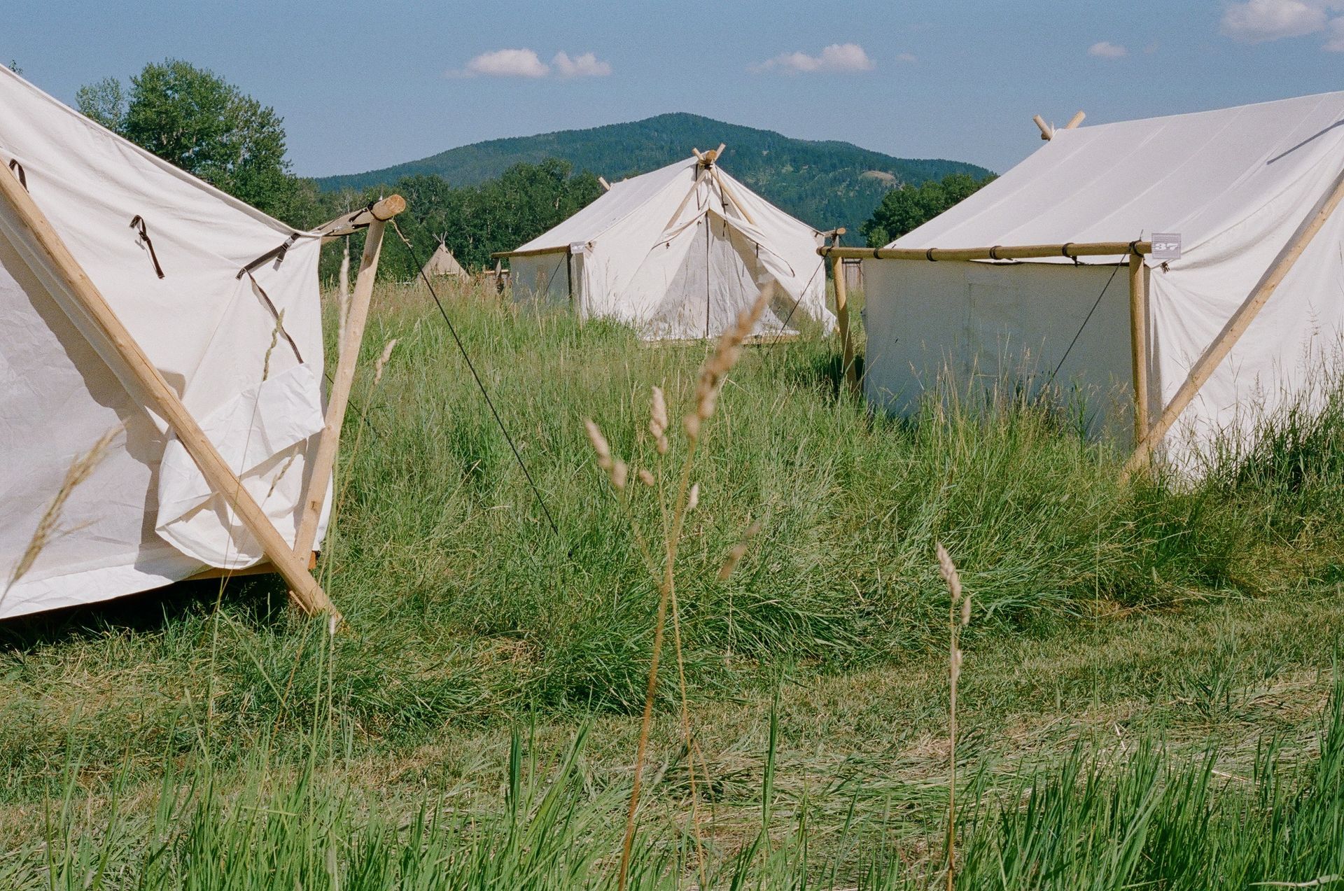 White canvas tents in a grassy field with hills in the background