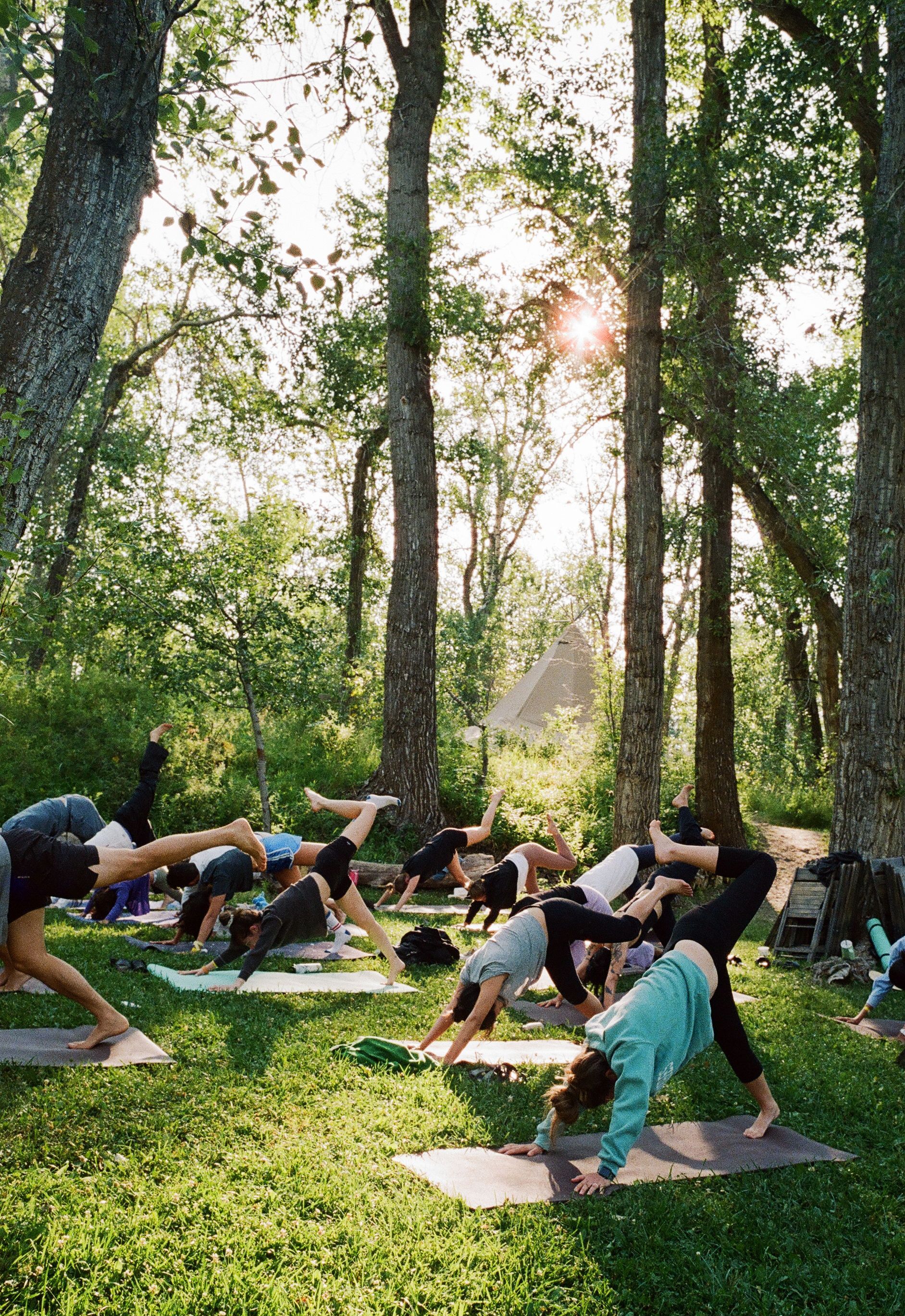 Group doing yoga on mats in a sunlit forest clearing