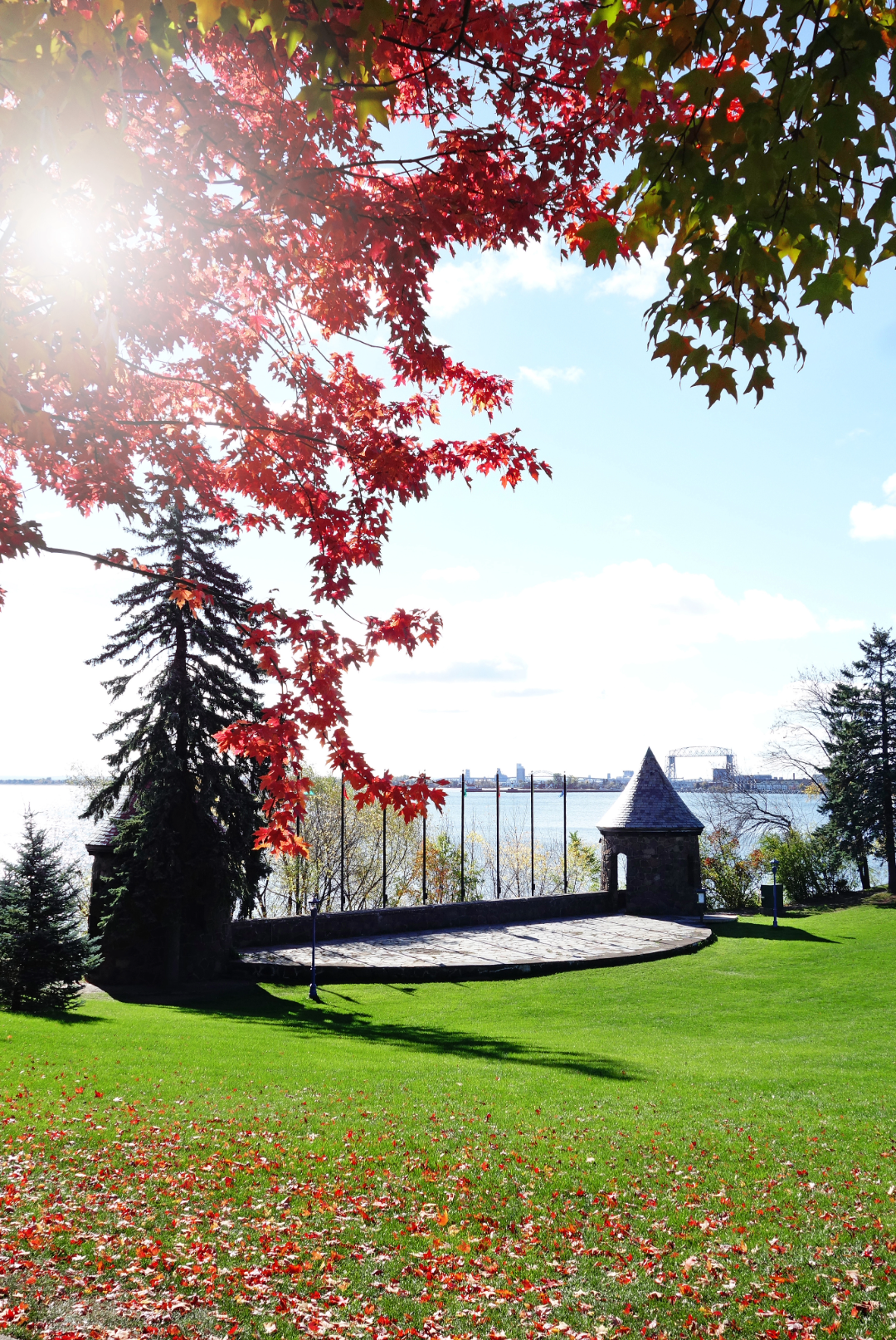 Rose Garden in Duluth 