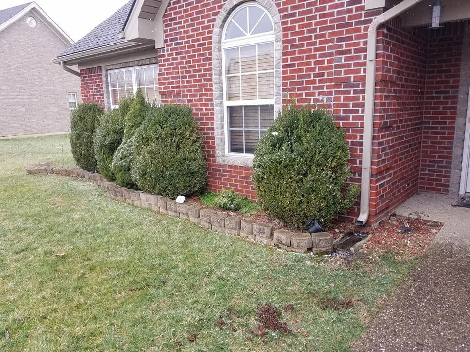 A brick house with a row of bushes in front of it.