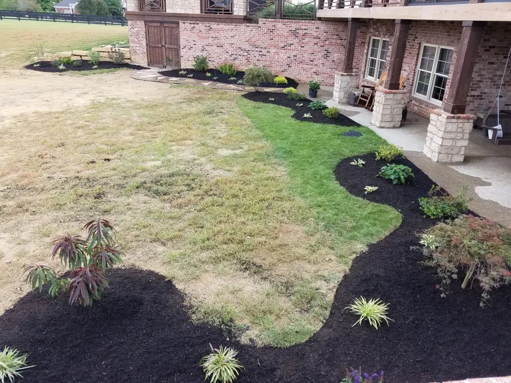 A lawn with a lot of plants and mulch in front of a house.