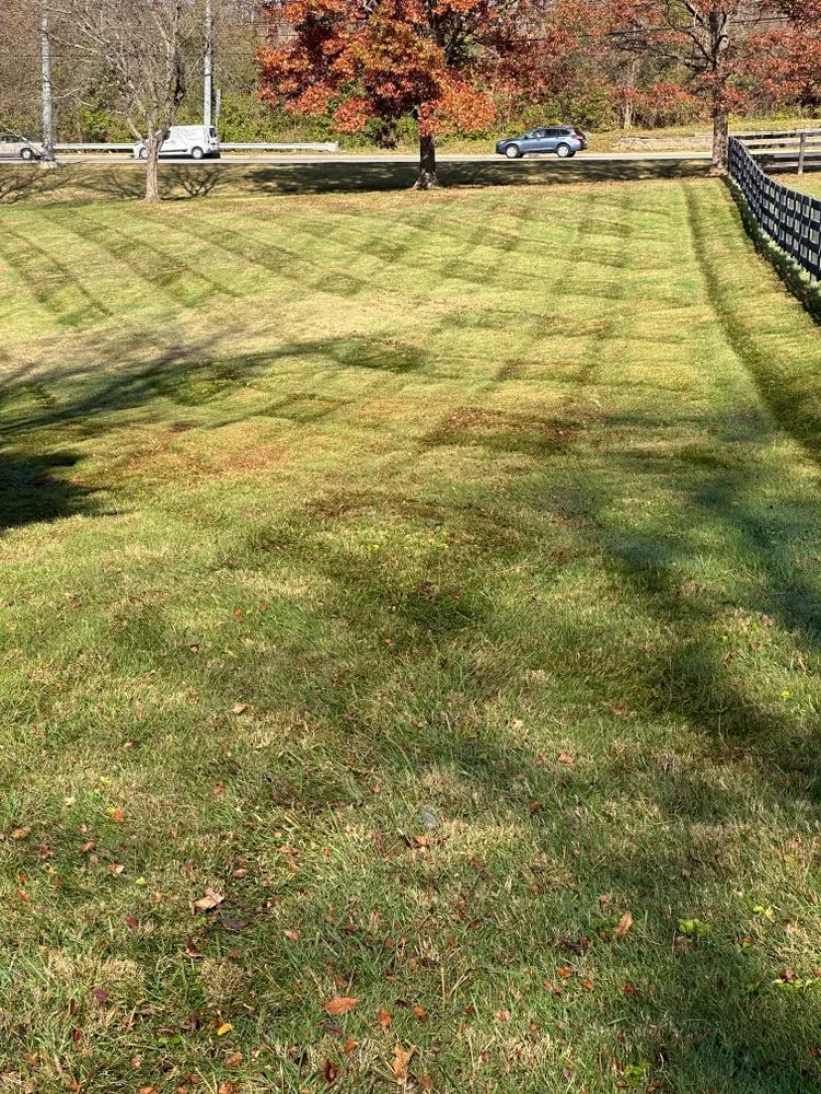 A lush green field of grass with a fence in the background.