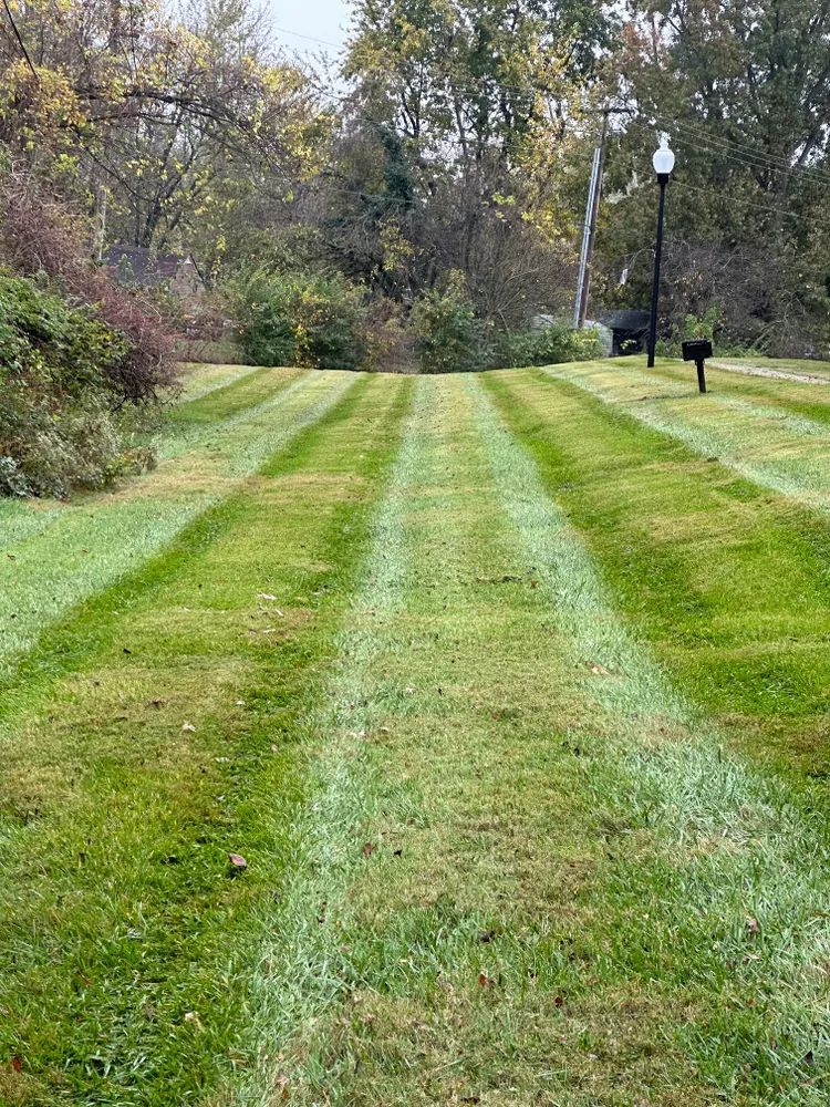 A lush green lawn with striped grass and trees in the background.