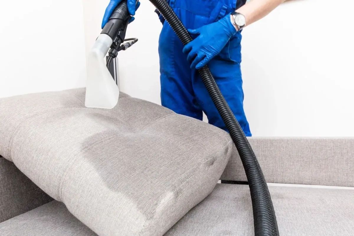 Person steam-cleaning a gray couch with a handheld upholstery cleaner