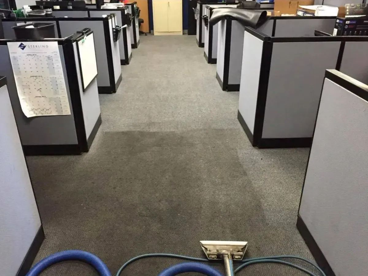 Office cubicles with gray carpeted aisle and cleaning equipment in the foreground