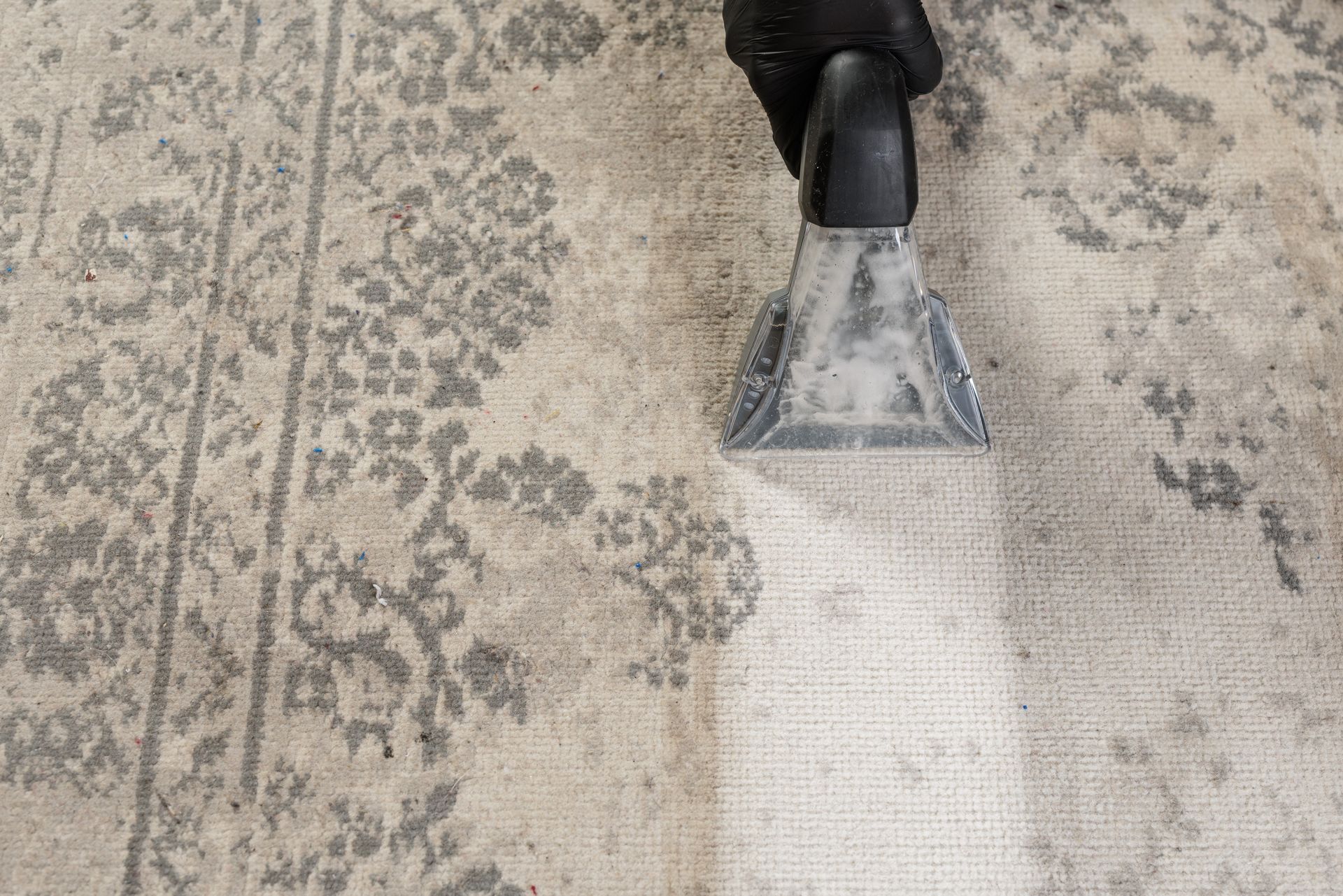 Carpet being cleaned with a clear vacuum upholstery attachment, showing a dirty-to-clean path
