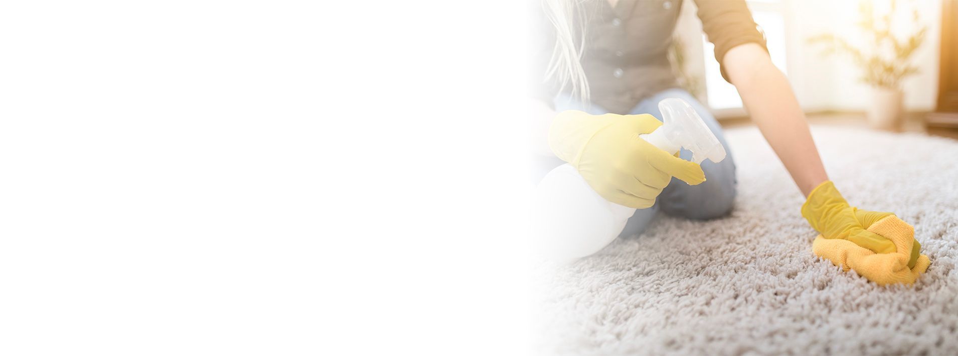 Person wearing yellow gloves sprays and scrubs a white carpet. Person wearing yellow gloves sprays and scrubs a white carpet.