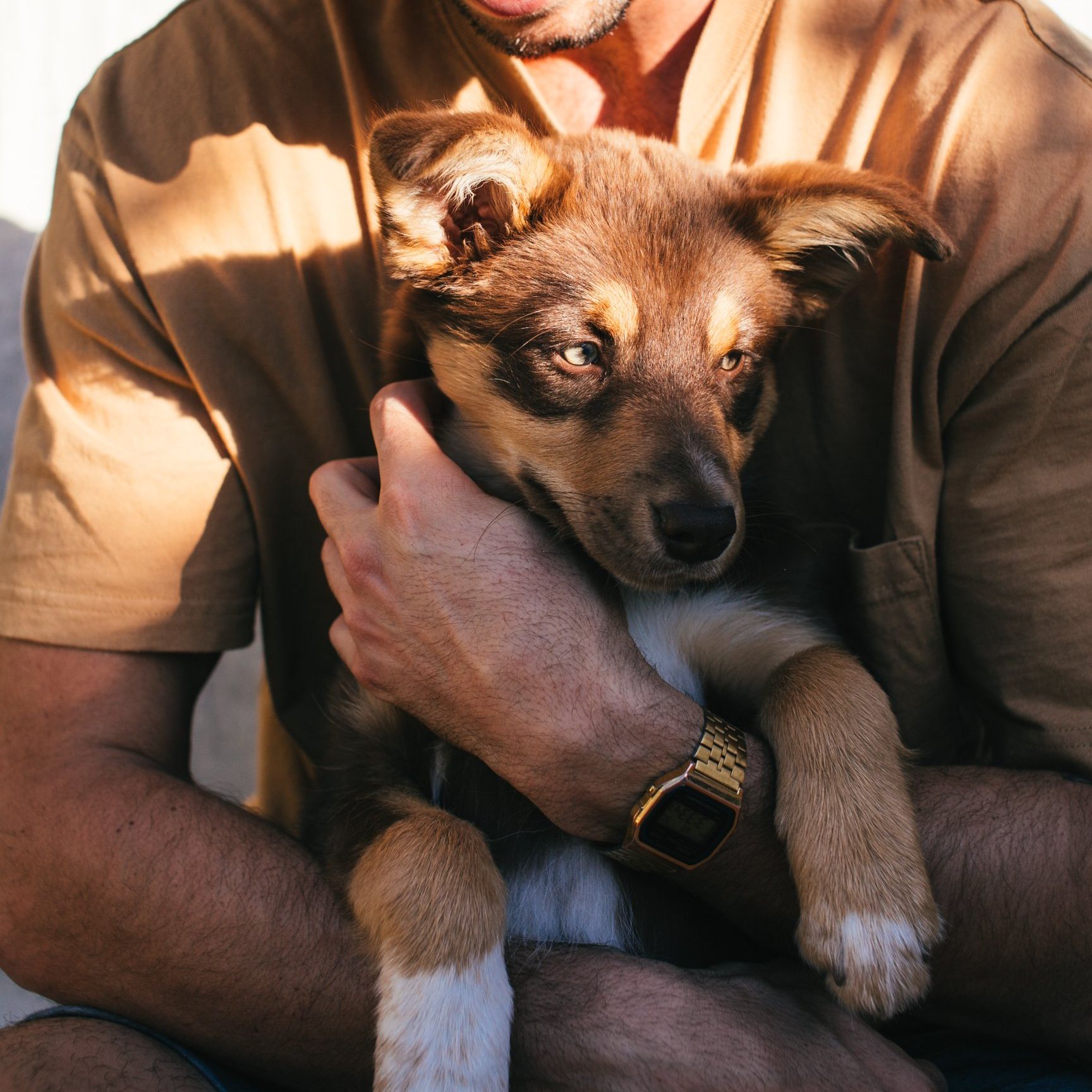 dog being held by owner