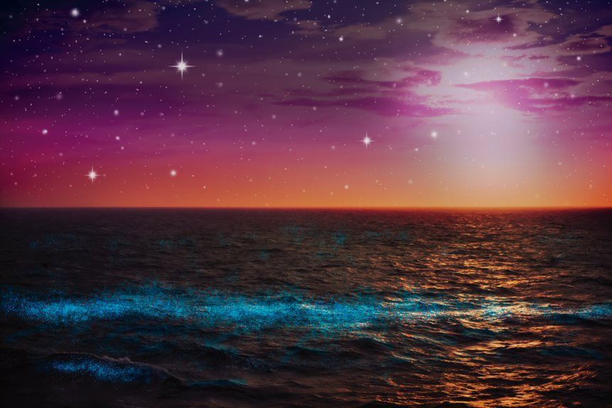 Aguas iluminadas por la bioluminiscencia en un fenómeno natural único en Hotel Las Islas
