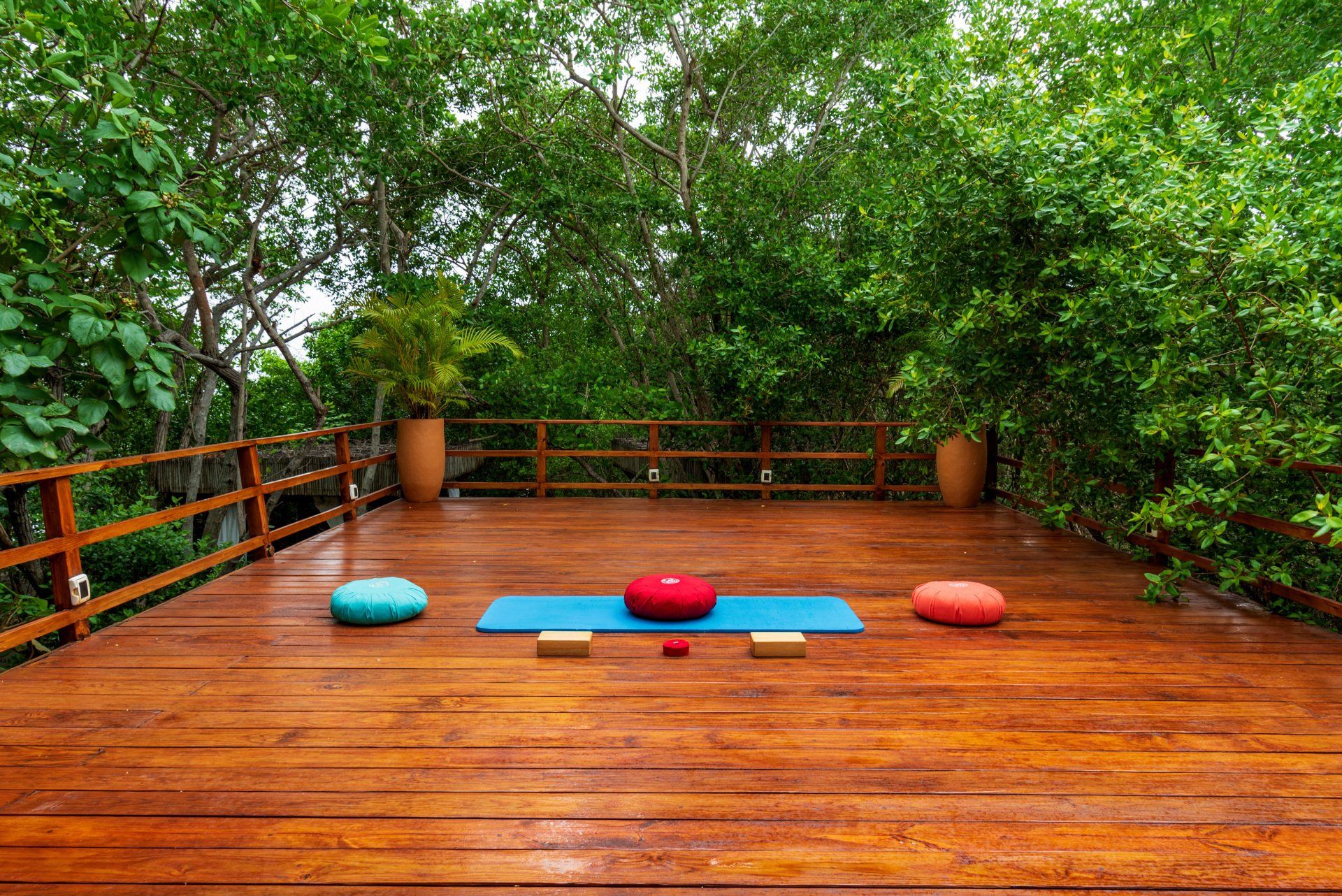 Zona de bienestar diseñada para yoga y meditación, rodeada de la calma tropical de Isla Barú
