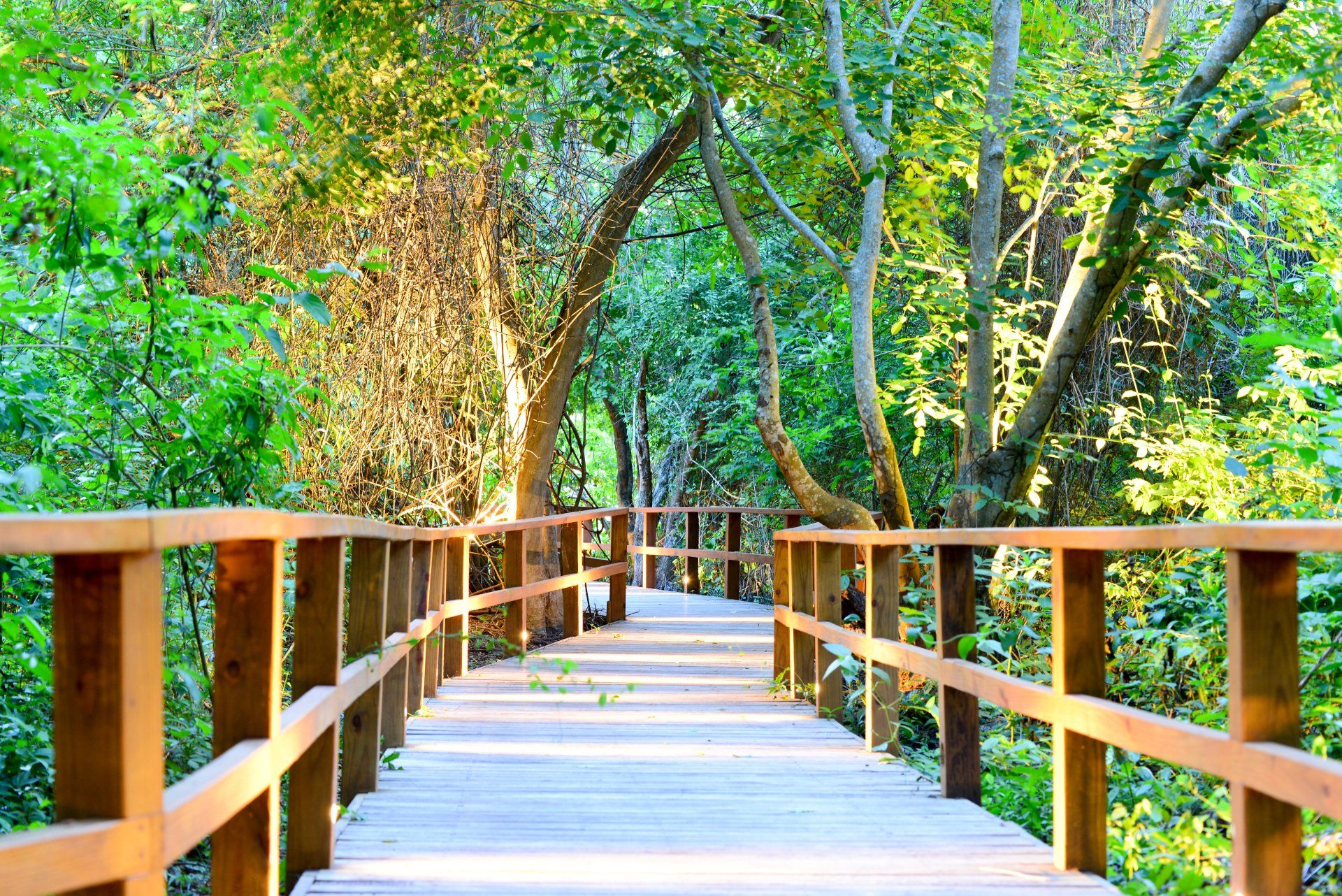 Sendero rodeado de vegetación y diseñado para conectar bungalows y zonas comunes