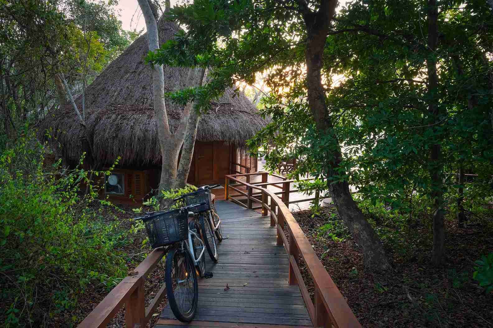 Bungalow privado con bicicletas listas para recorrer los senderos naturales de Hotel Las Islas