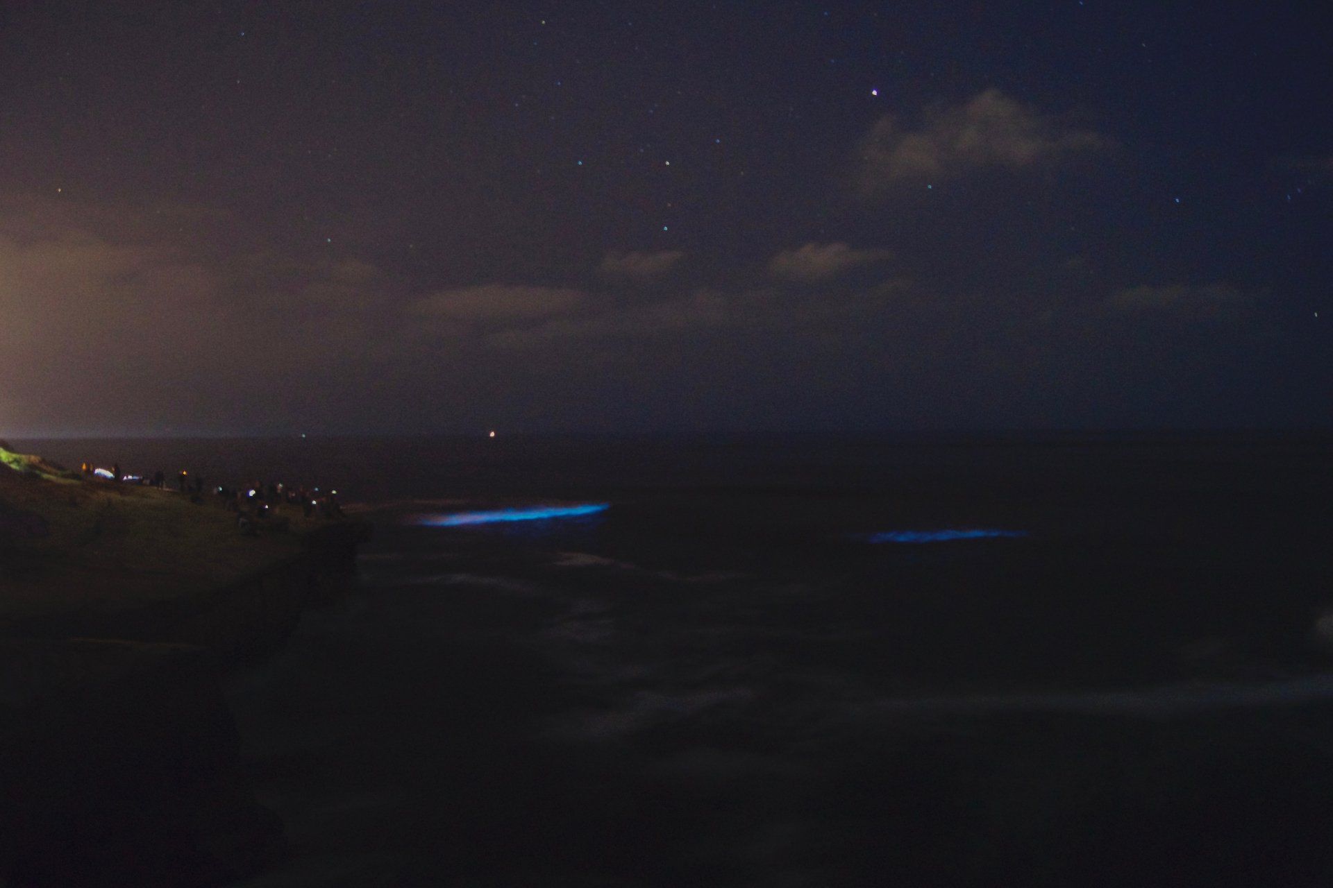 Aguas resplandecientes con plancton bioluminiscente