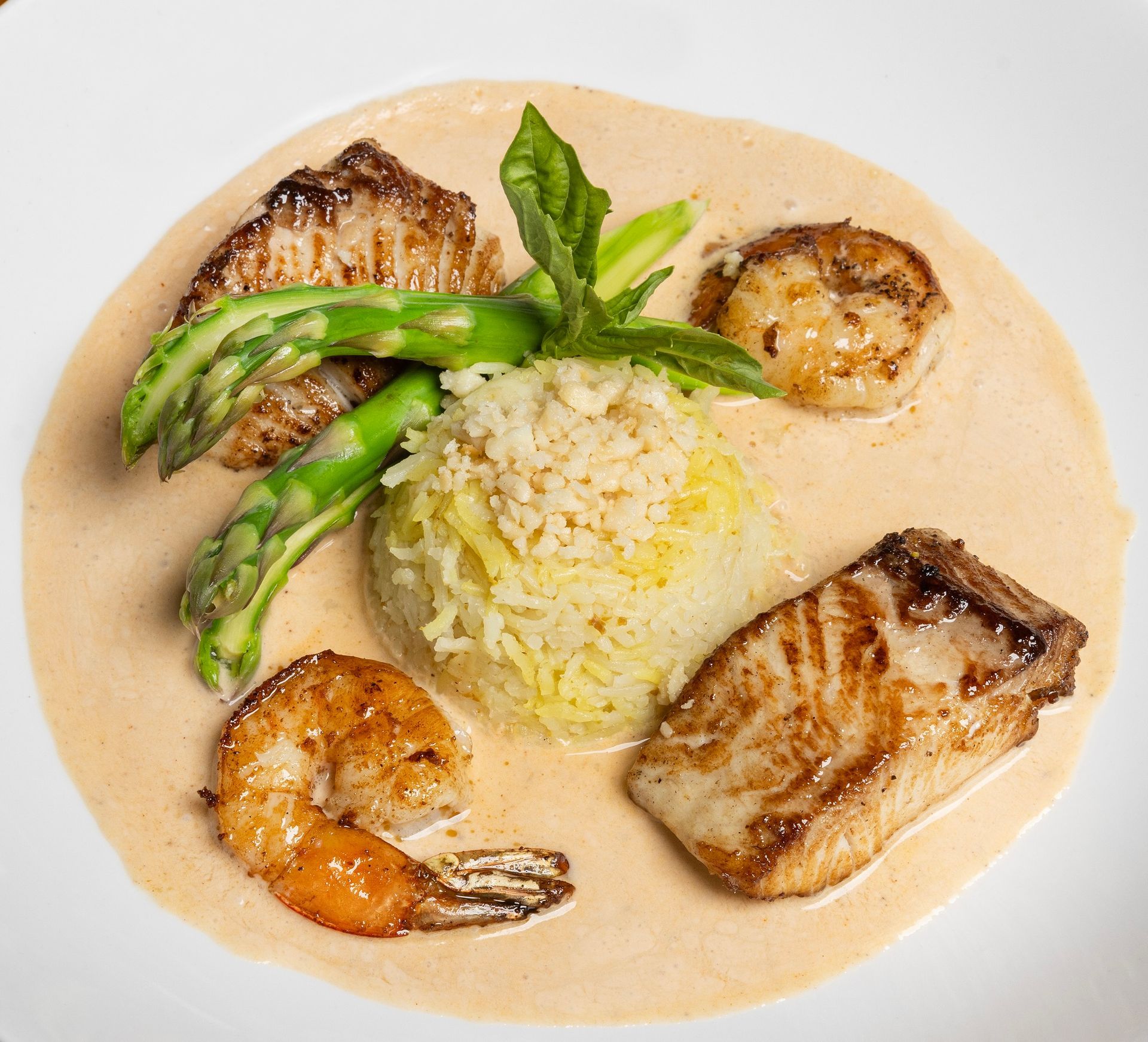 Seafood dish: grilled fish, shrimp, scallop, and rice with asparagus in cream sauce.