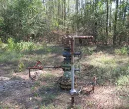 a large pipe is sitting in the middle of a forest