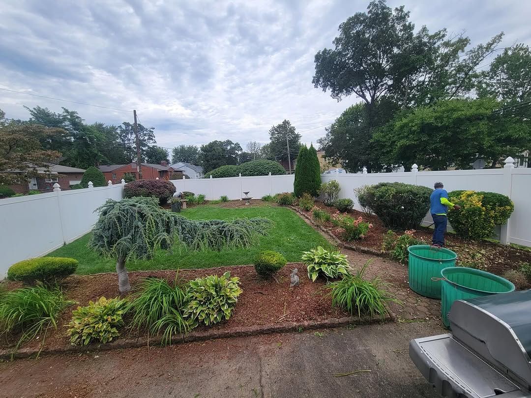 A man is standing in the middle of a lush green garden.