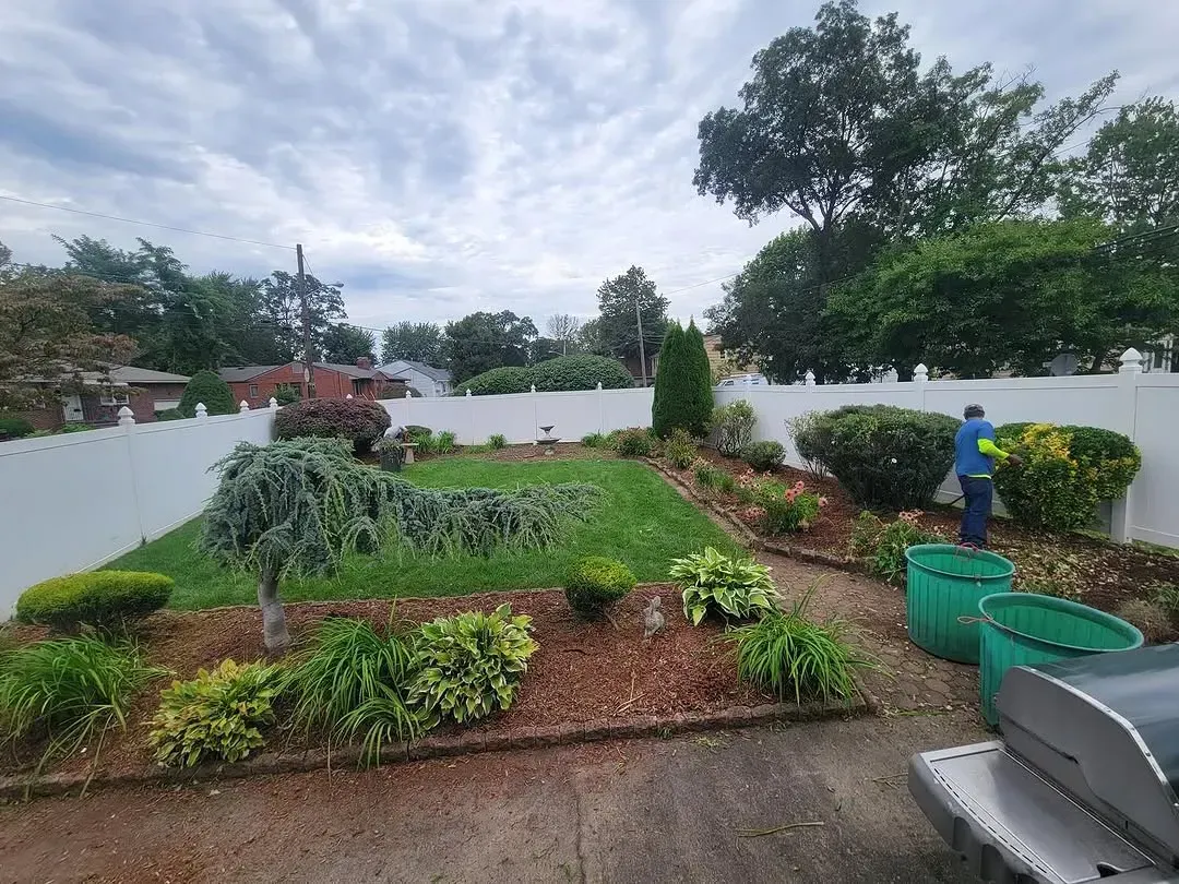 A man is standing in the middle of a lush green garden.