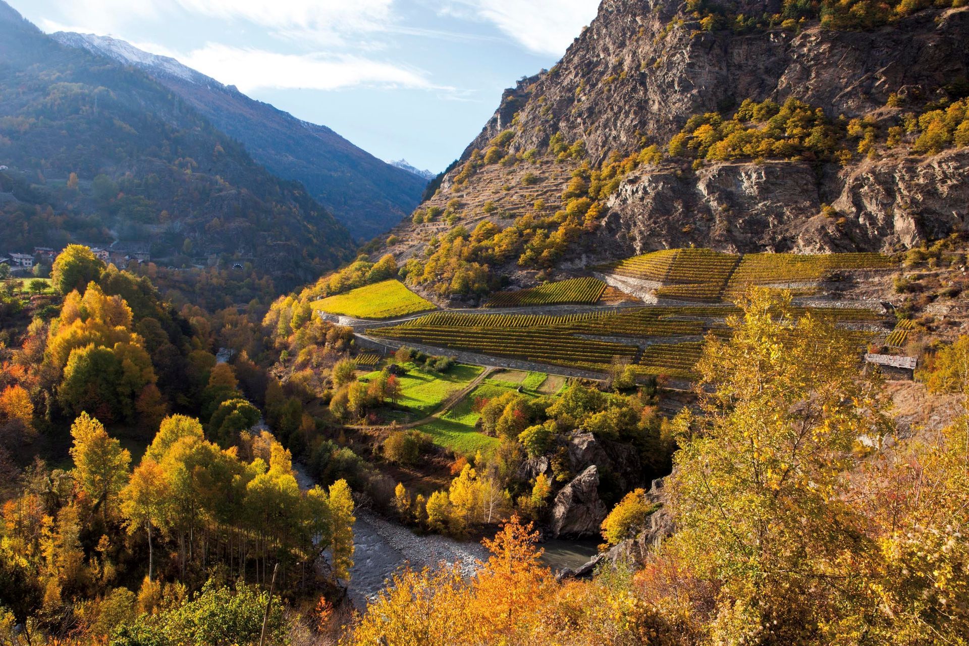 Vigneti autunnali della Valle d’Aosta con colori caldi e paesaggio alpino.