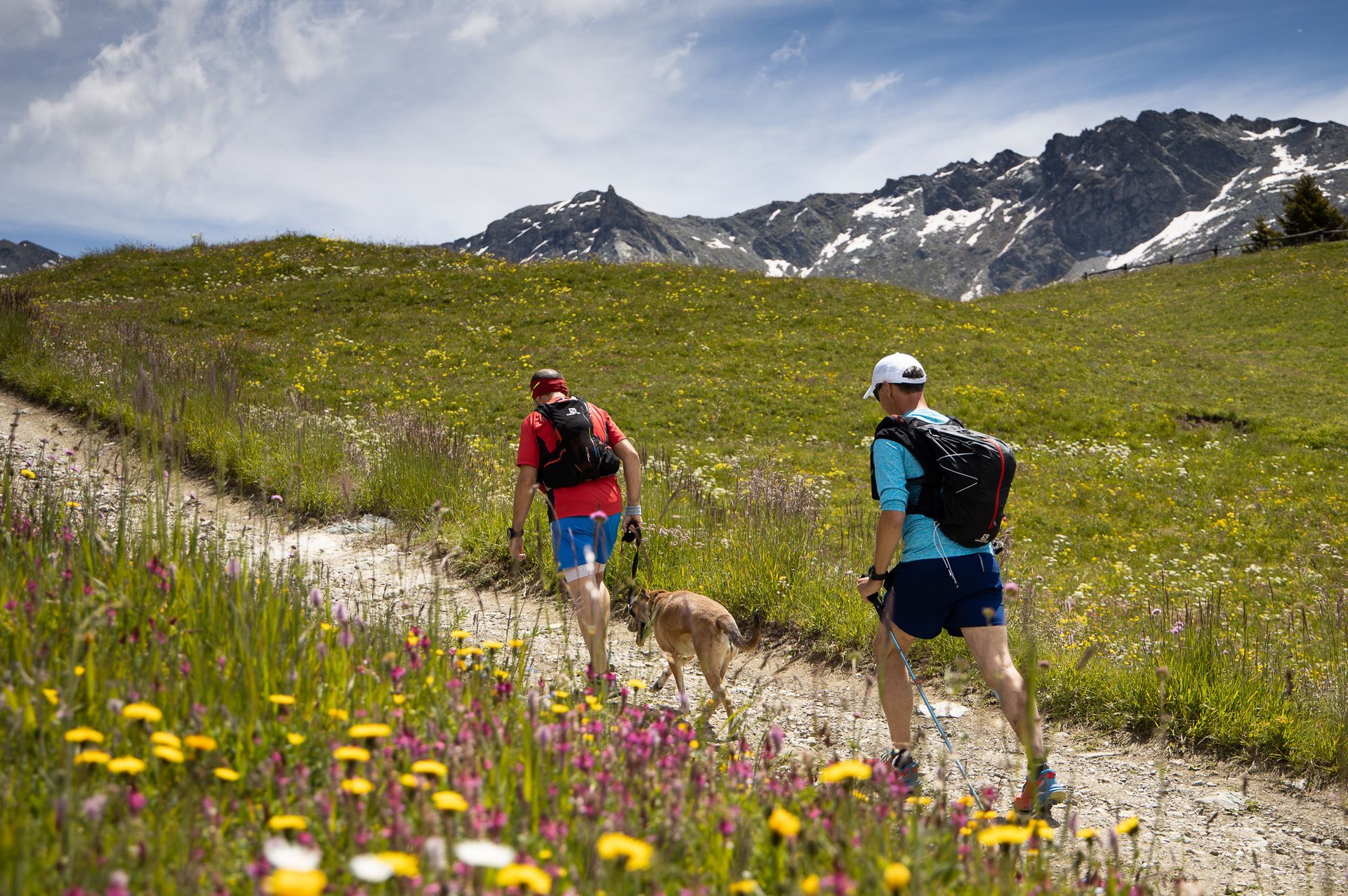 Hiking trails near Chamois in the Aosta Valley with views of the surrounding Alps