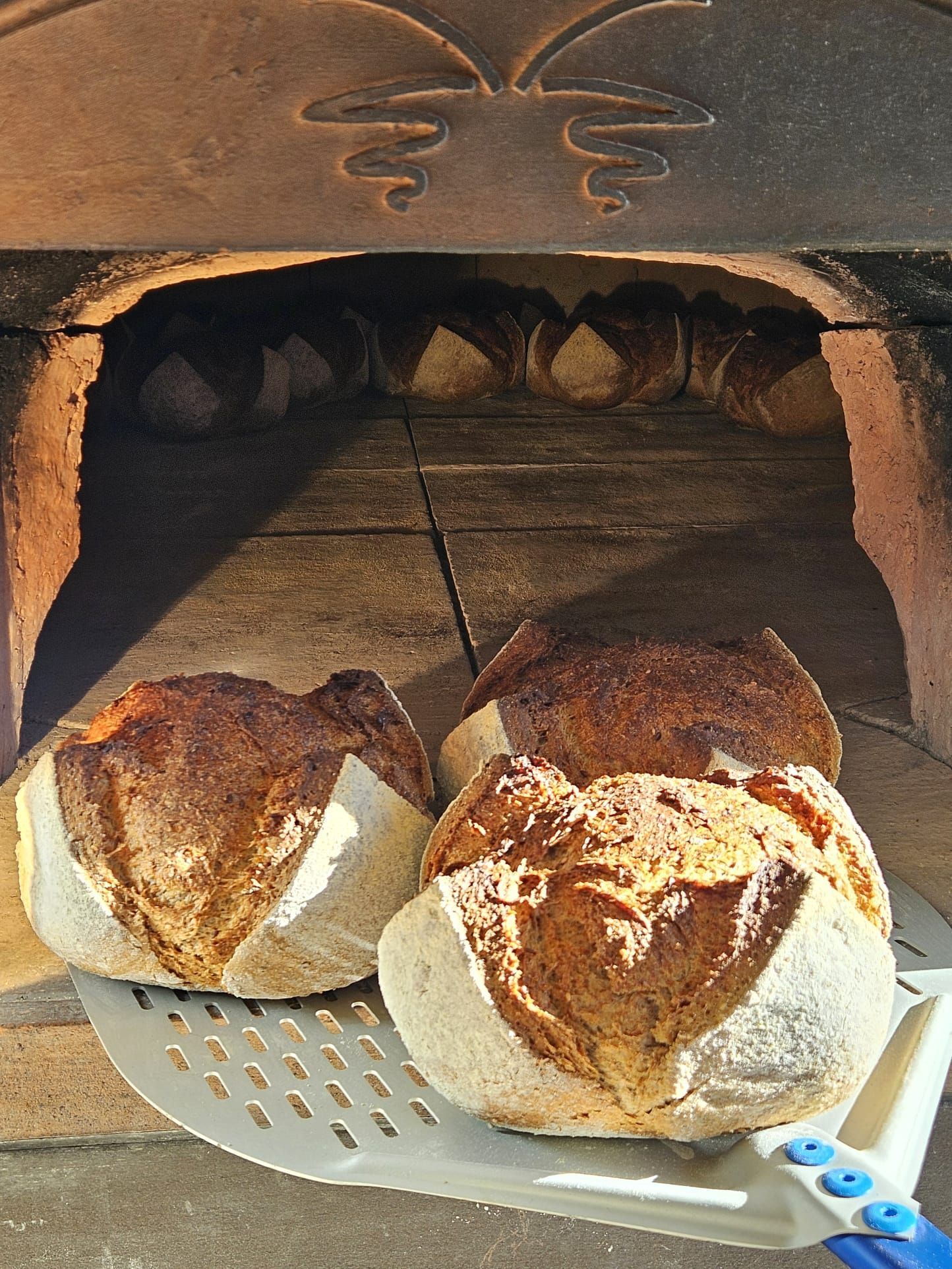 Freshly baked bread from the Liussel wood-fired oven in Chamois, Aosta Valley