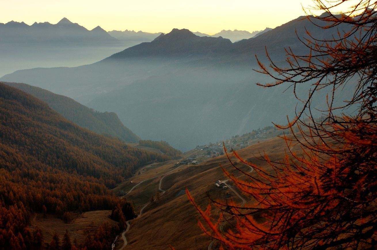 Autumn landscape in Chamois, Aosta Valley, with colorful forests and alpine mountains.