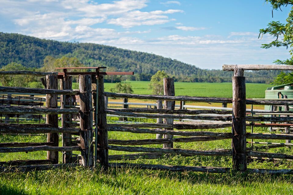 fencing in the yard