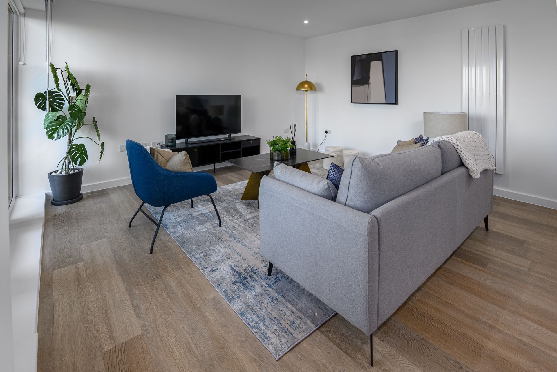 Modern living room with gray sofa, blue chair, TV, plants, and wood flooring