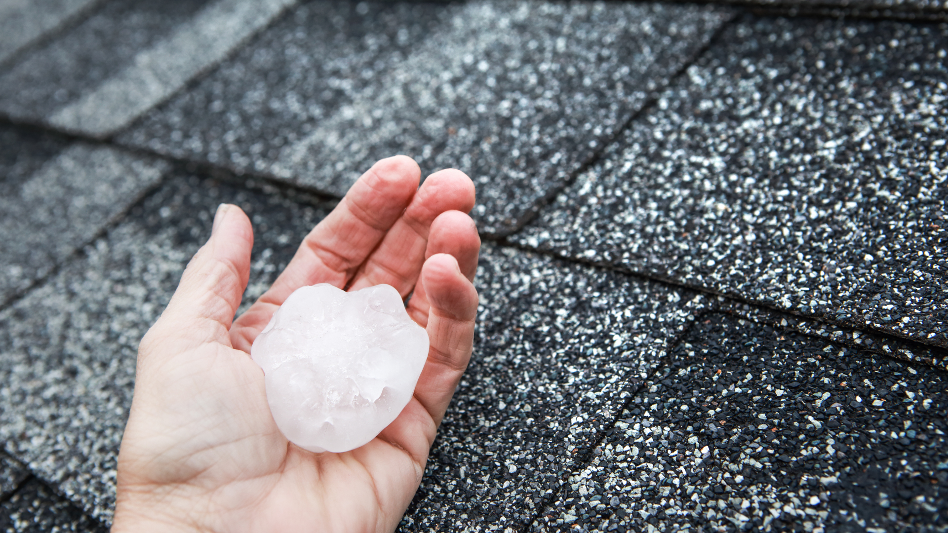 Hand holding a large white hailstone over a wet shingled roof.