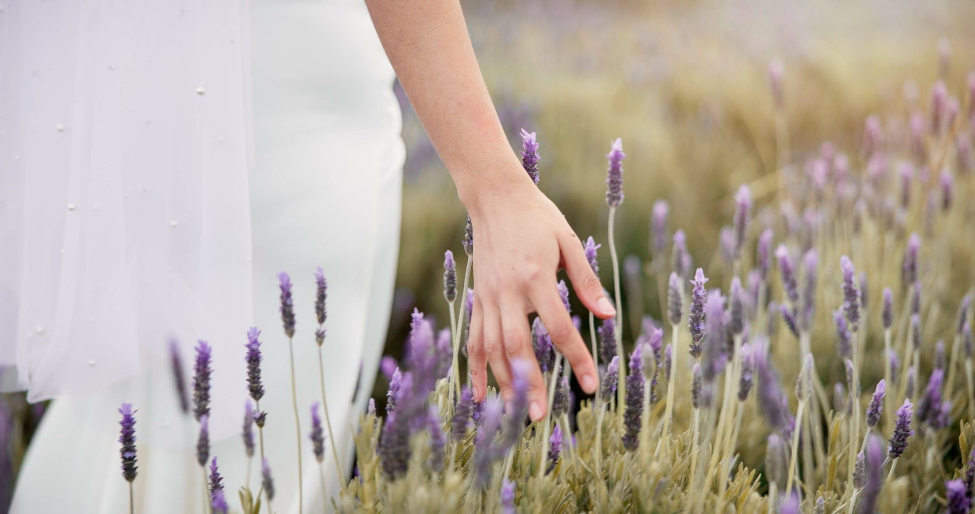 A woman in a white dress is touching purple flowers in a field.