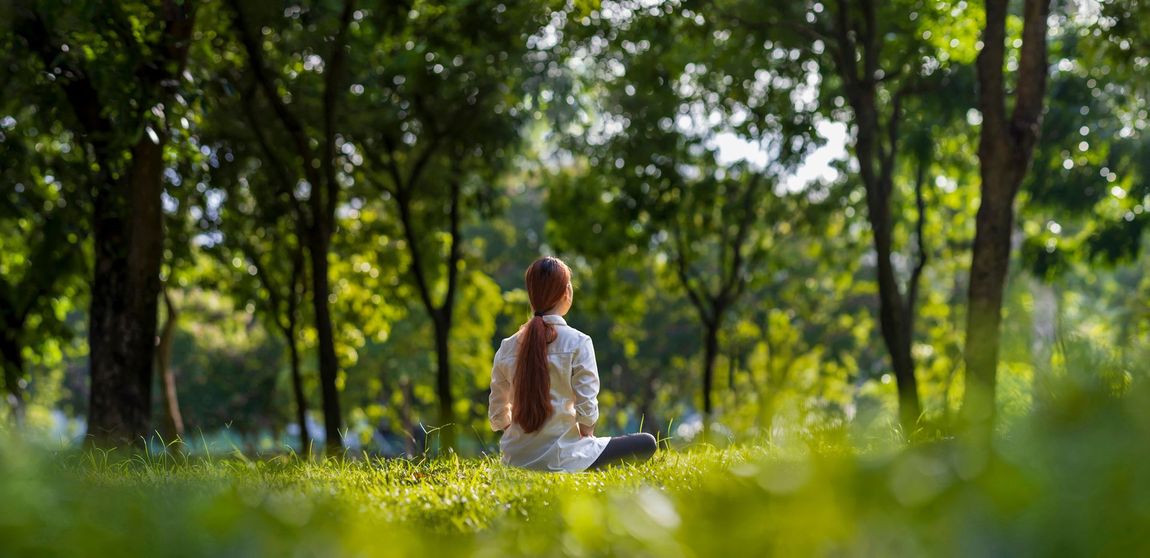 A woman is sitting on the grass in the middle of a forest.