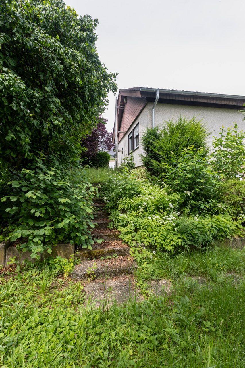 Ein verwilderter Gartenweg führt zu einem weißen Haus mit dunklem Dach unter einem bedeckten Himmel