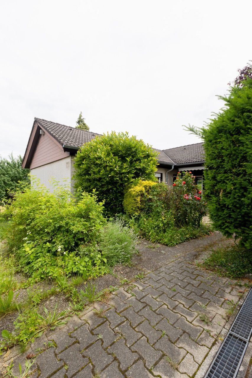 Ein verwilderter Gartenweg neben einem kleinen Haus mit Sträuchern und einem Ziegeldach