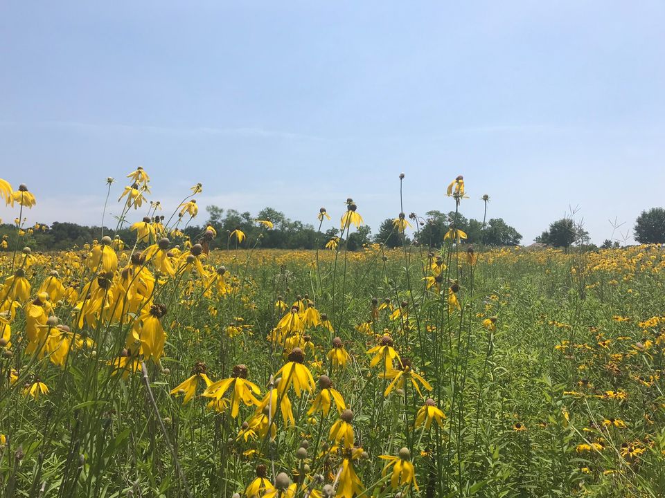 Home The New Bremen Foundation