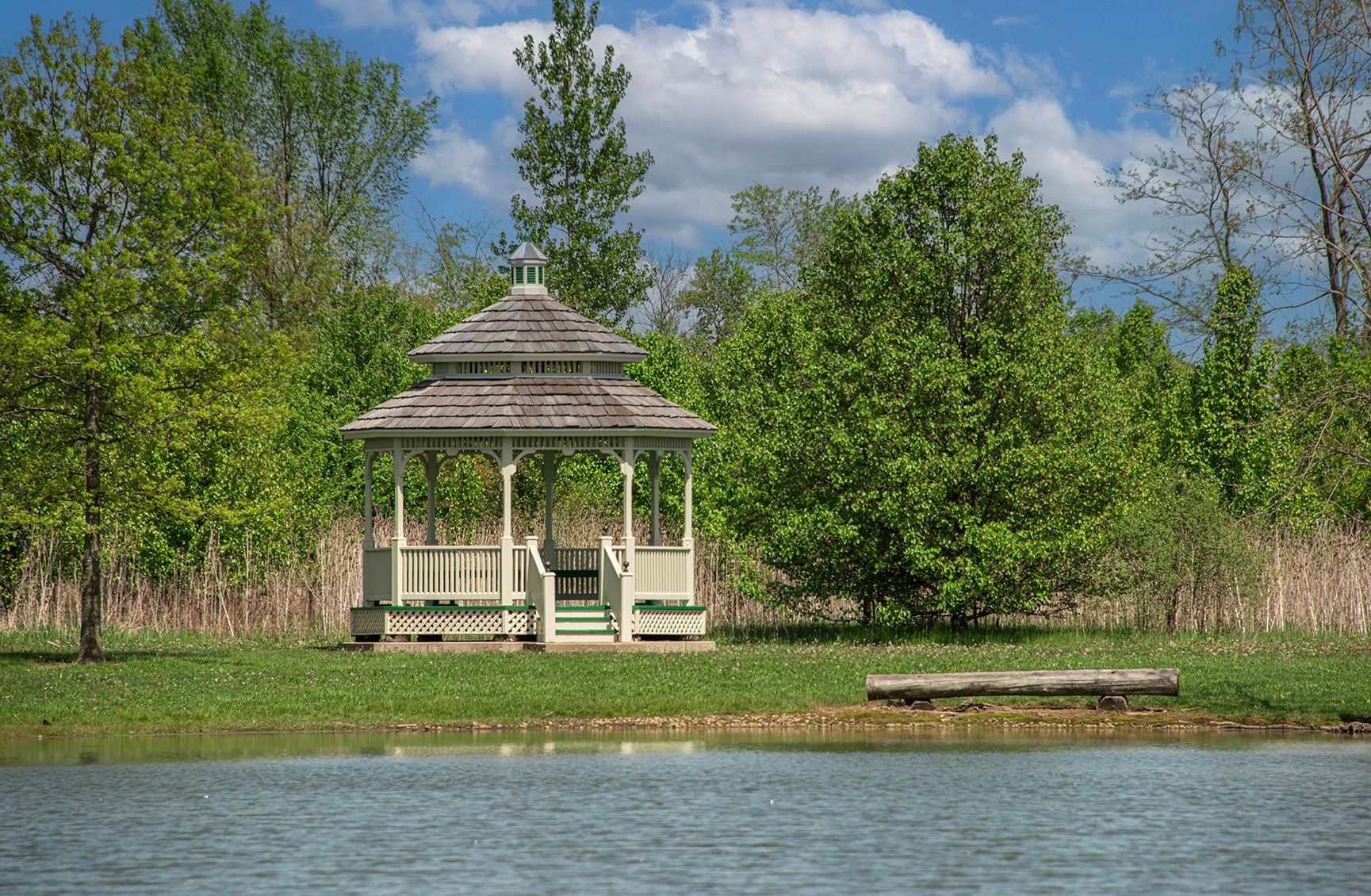 Natural Area The New Bremen Foundation