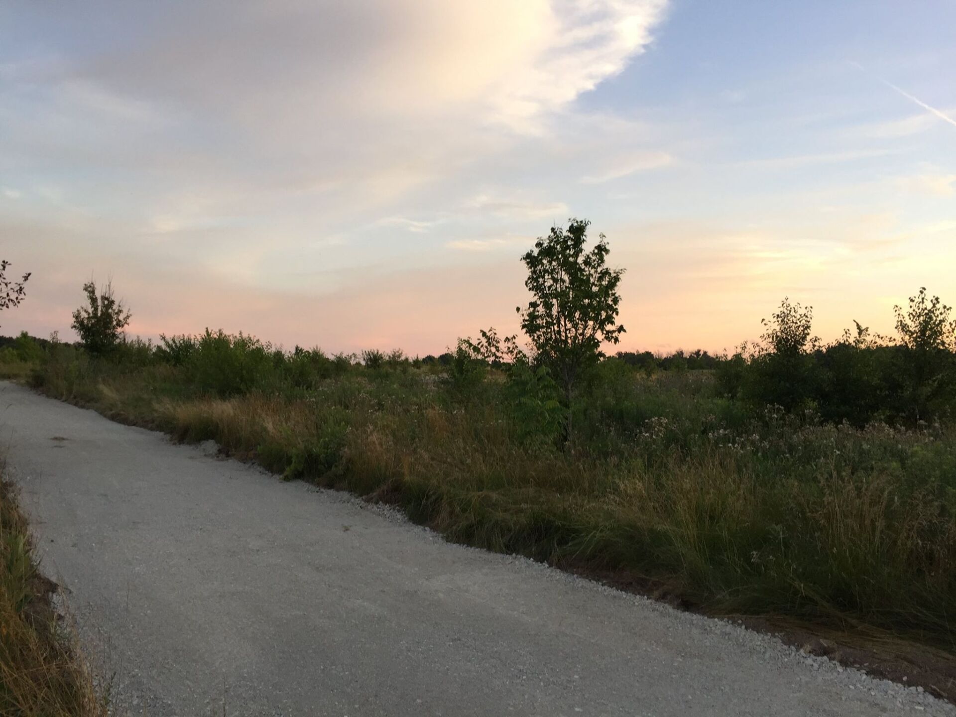 Home The New Bremen Foundation