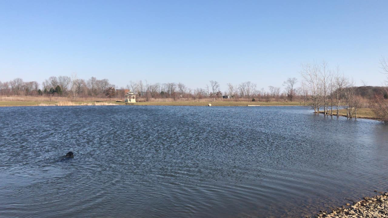 Natural Area The New Bremen Foundation