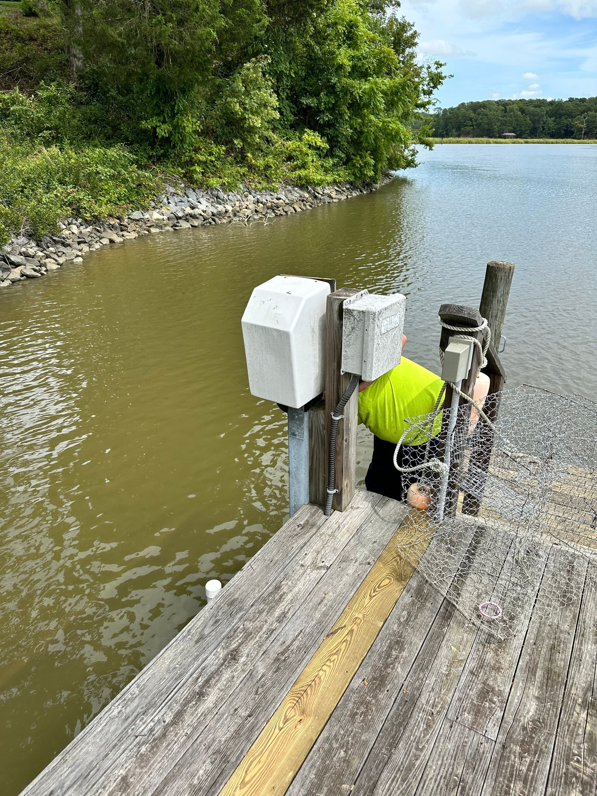 Person in neon yellow shirt bent over a wooden dock by murky water, inspecting something.