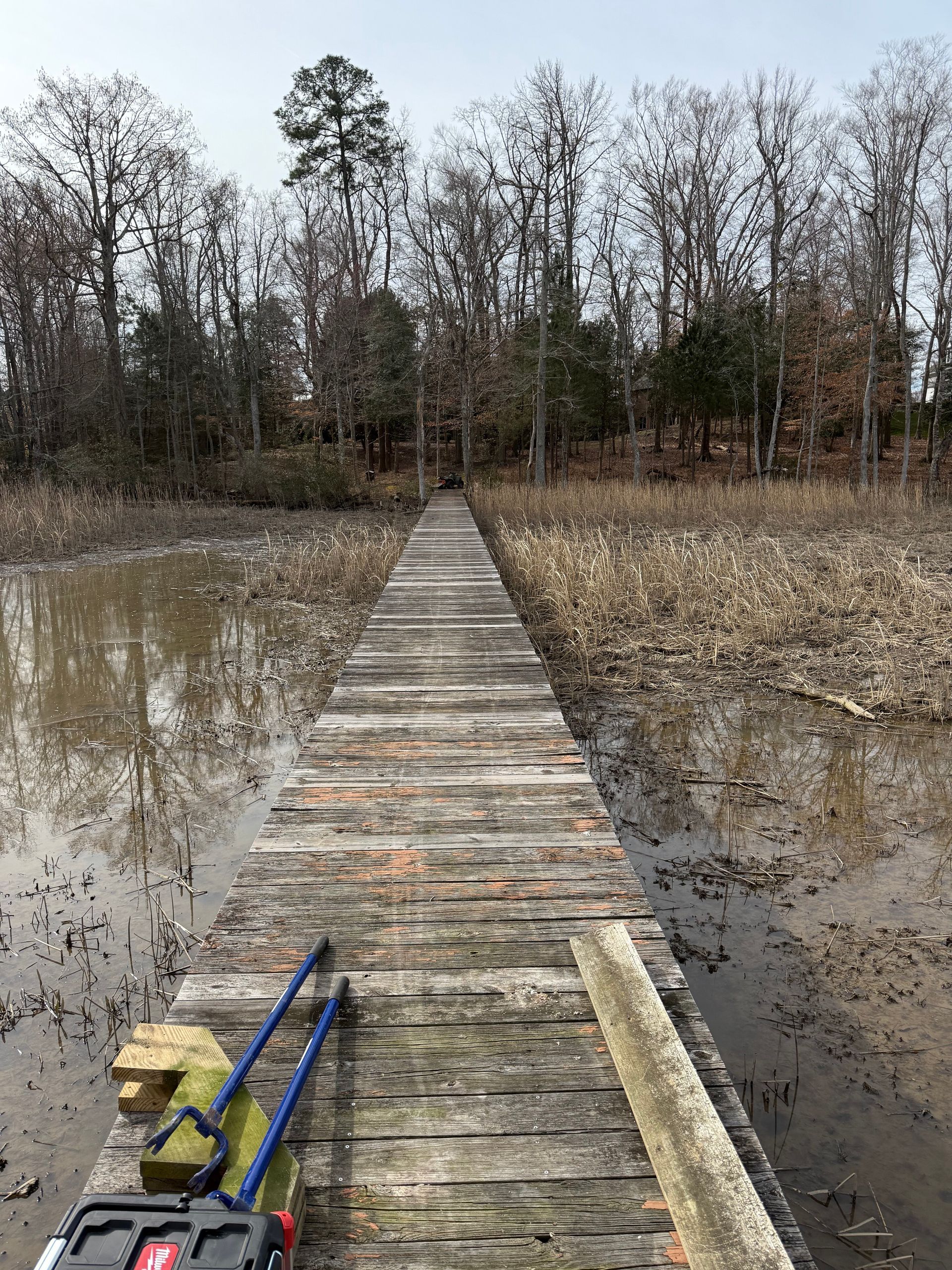 Wooden dock extending into muddy water, trees in the background, tools in the foreground.