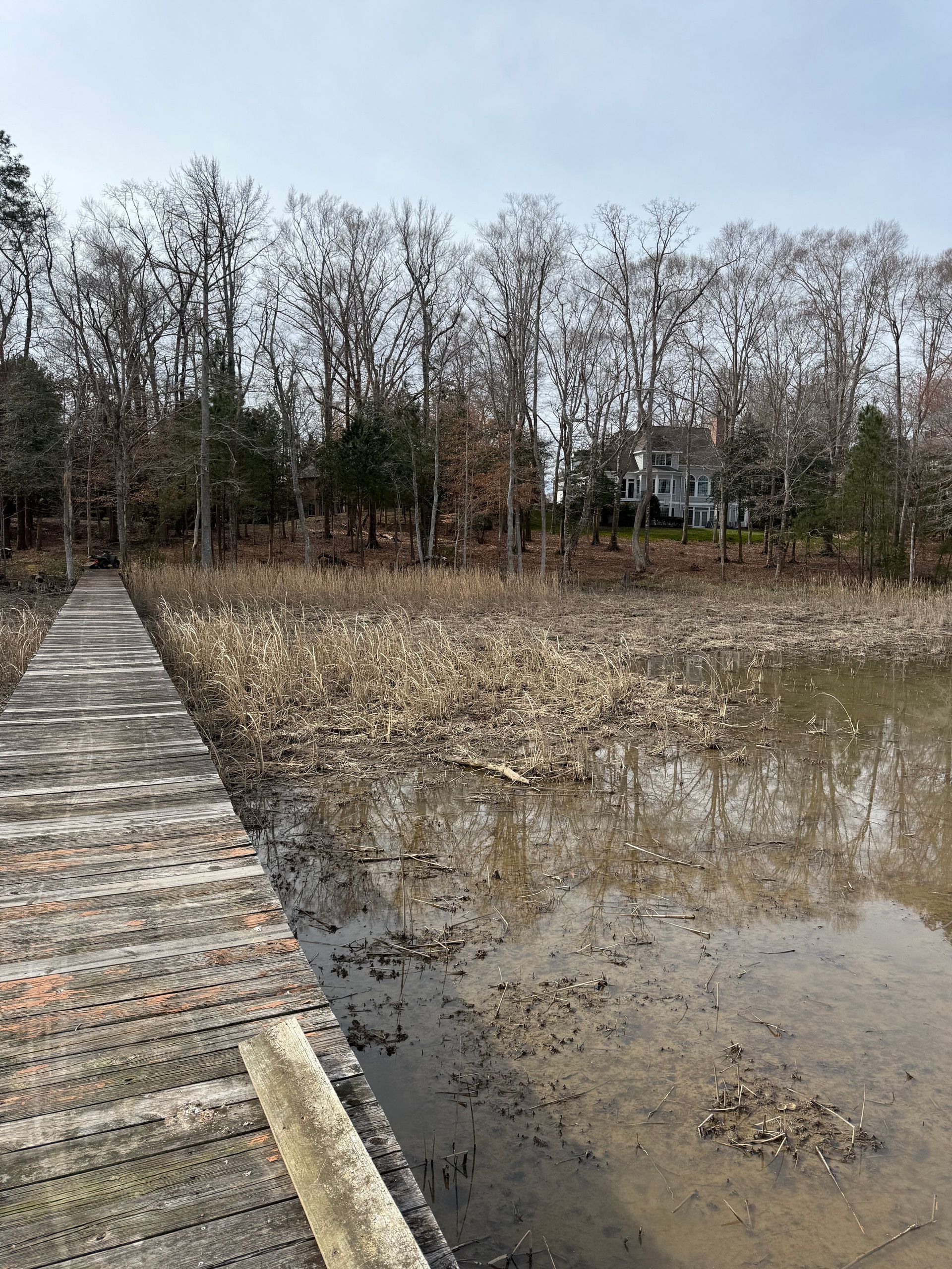 Wooden dock extends toward a muddy lake with dried vegetation; trees and a house are in the background.