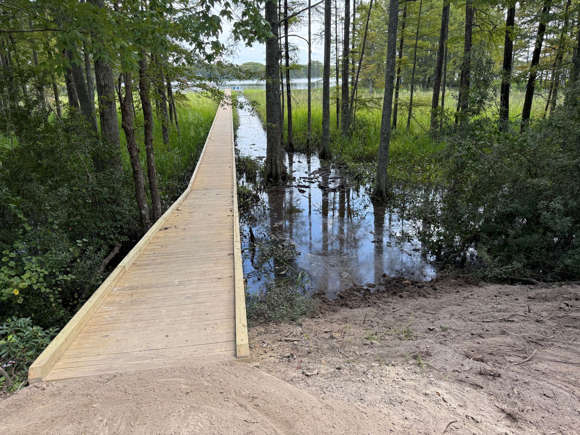 A sandy boardwalk over a flooded area with trees leading to a lake.