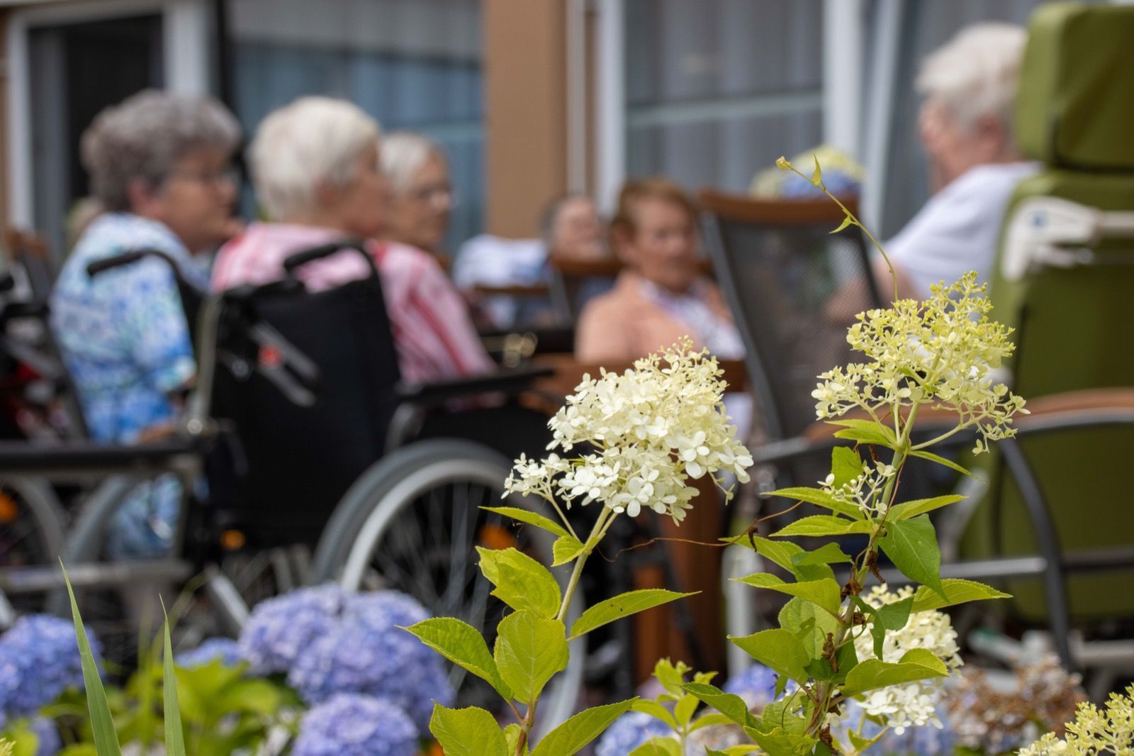 Eine Gruppe älterer Menschen im Rollstuhl sitzt auf einer Veranda.