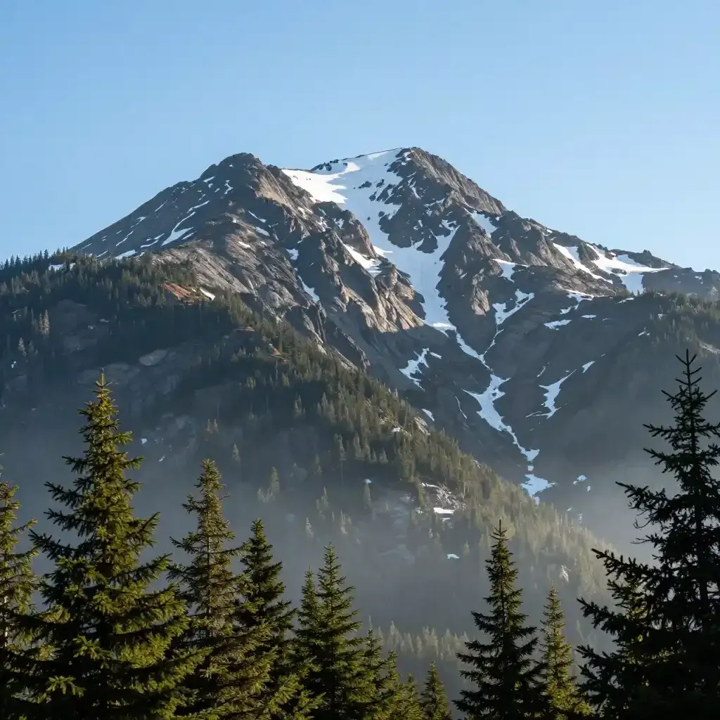Snow-capped mountain above dark evergreen forest under a clear blue sky