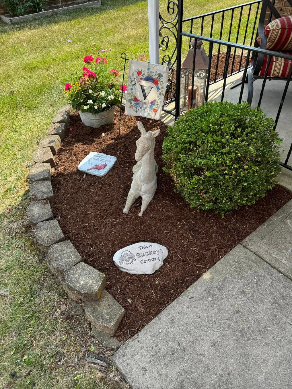 A dog is standing in a garden next to a porch.